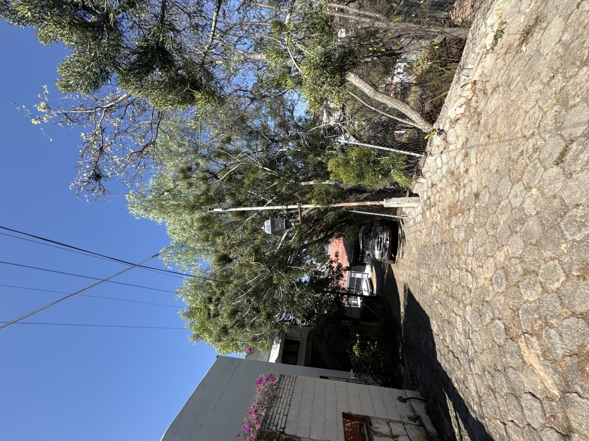 Captured in Oaxaca City, Mexico, the photograph presents a narrow cobblestone street, lined with a stone wall to the right and a white building partially visible on the left, adorned with cascading purple flowers. The street leads uphill, where a dark sedan is parked under the shade of lush trees. Overhead, a network of power lines intersects the clear blue sky. A street lamp is affixed to a pole, partly concealed by the dense foliage. The overall scene conveys a sense of urban life intertwined with nature, typical of this Mexican city.