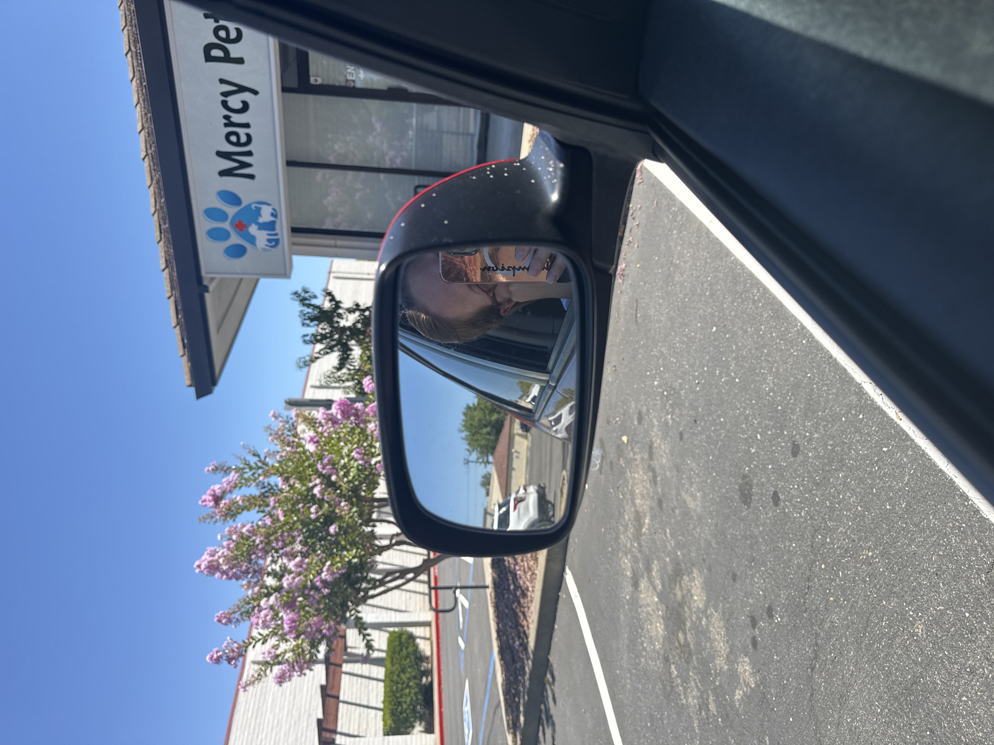 A person is reflected in a car's side-view mirror, holding a cell phone. They are in a parking lot in front of a building with a sign reading "Mercy Pet". A flowering tree is visible on the left, and a white car is parked in the distance. The sky is clear and blue.