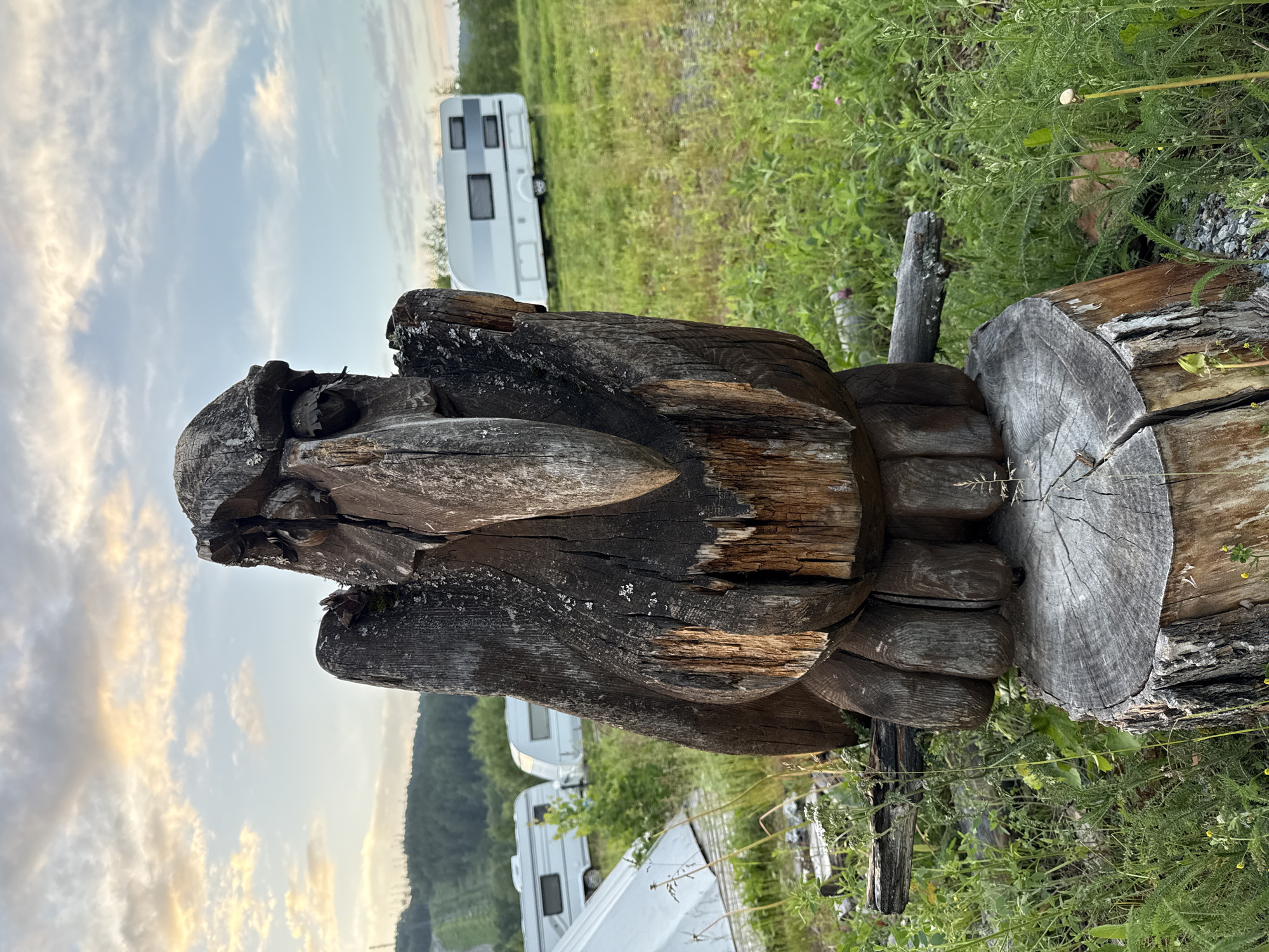 In Syrostan, Russia, a weathered wooden sculpture of a bird-like creature stands on a tree stump in a grassy, outdoor area. The sculpture, made from dark, aged wood, features a prominent beak and intricate carvings for eyes and wings. Behind the sculpture, several white caravans are parked on a green, grassy field. In the distance, a dense forest lines a hillside, and the sky above is filled with scattered clouds during what appears to be late afternoon or early evening. The scene is bathed in soft, natural light.