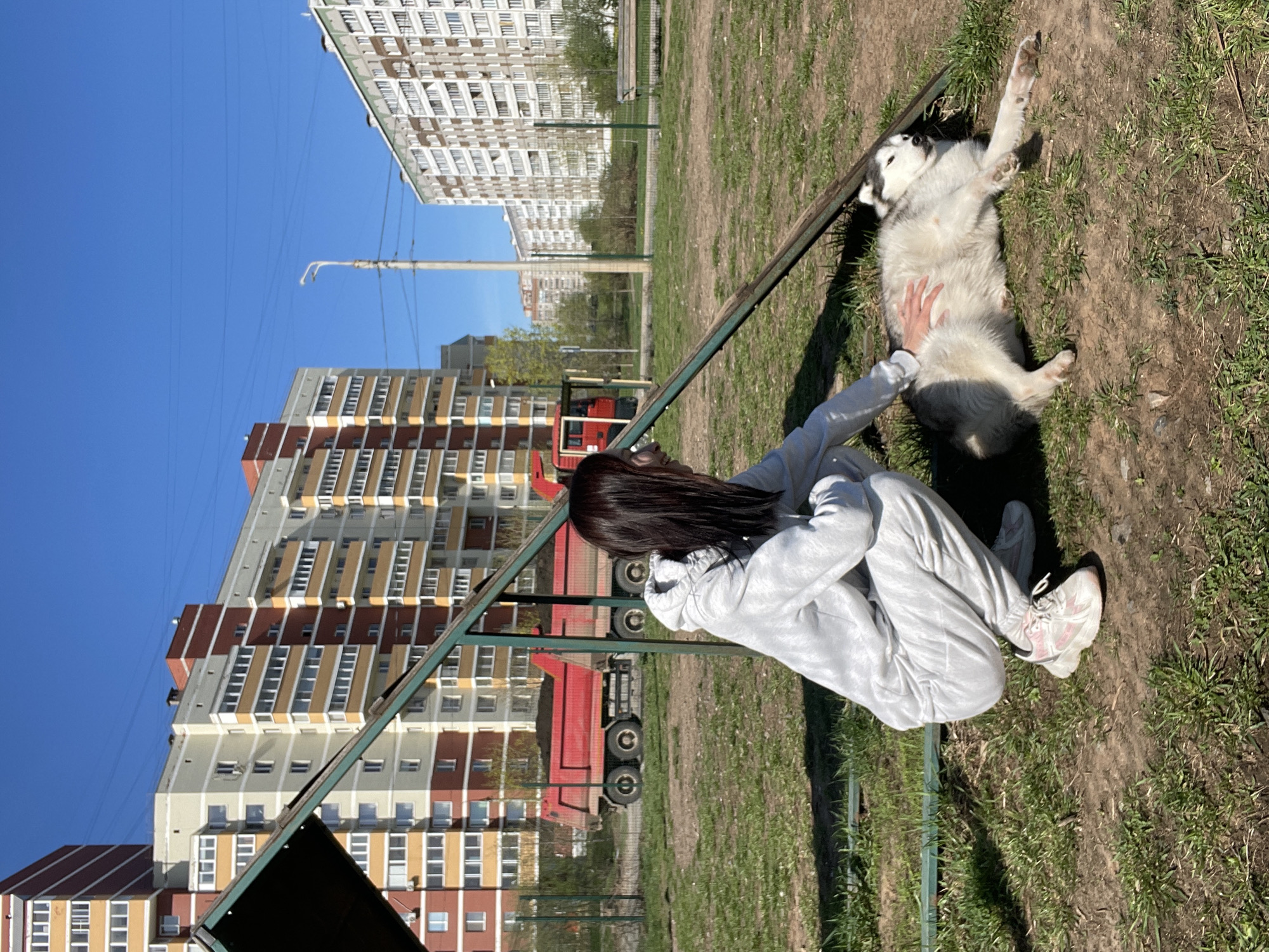 A rotated, eye-level outdoor shot depicts a woman petting a dog in Светлое, Russia. The woman, wearing a light gray sweat suit and pink sneakers, is seated with her legs crossed. Her dark hair falls down her back. She is petting a large, white and gray husky-type dog that is lying on its back with its legs in the air. They are on a patch of dirt and grass near a green playground structure. Behind them, a red truck and high-rise apartment buildings in various color schemes are visible. The sky is clear blue.