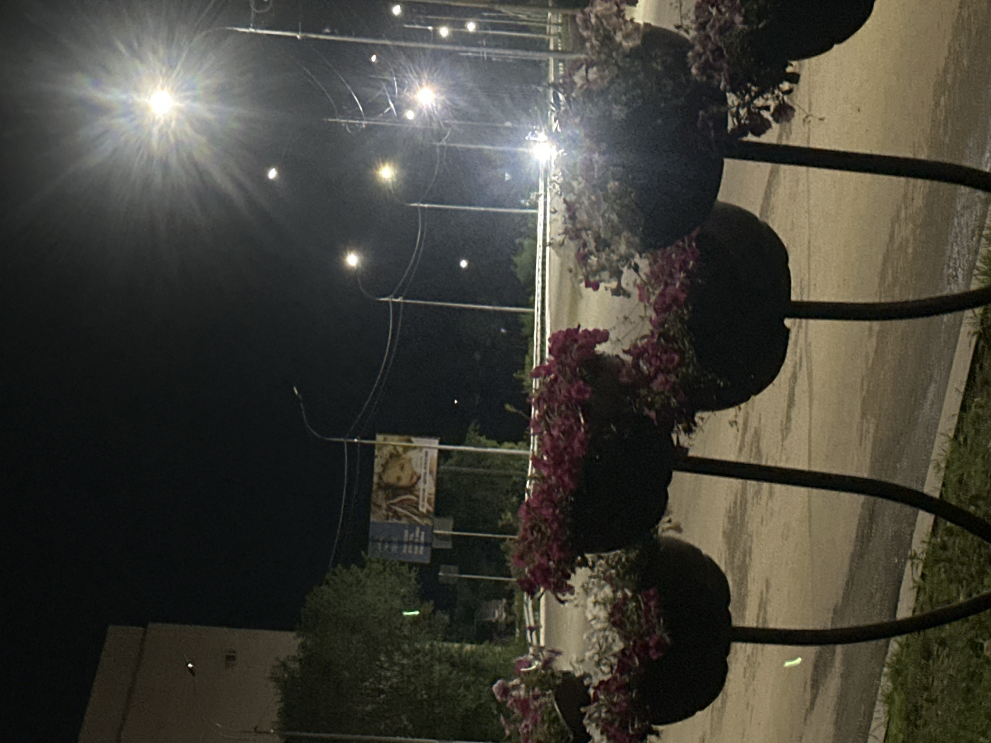 This is a nighttime outdoor photograph, likely taken in Birobidzhan, Russia, given the provided location context. The scene features several streetlights illuminating a paved area, possibly a sidewalk or road, with some grassy areas visible. In the foreground, there are large, dark planters filled with flowering plants, some of which are a deep pink or purple, while others appear white. These planters are arranged in a tiered or stacked formation, supported by a dark metal structure.
The sky is dark, indicating it is nighttime. The streetlights create strong glare and light flares within the image, particularly the one prominently featured on the left side, which has a starburst effect. The lighting is artificial and somewhat harsh.
In the background, through the vegetation and streetlights, a large billboard or advertisement is visible, featuring a close-up of a person's face, possibly a child or young woman, with some text below it. The overall atmosphere of the image is somewhat mysterious and slightly eerie due to the low light conditions and the glare from the lights. There is no discernible weather activity, but the paved surface appears slightly wet or reflective, suggesting recent rain or dew. The image is captured from a low angle, looking upwards towards the streetlights and the sky.