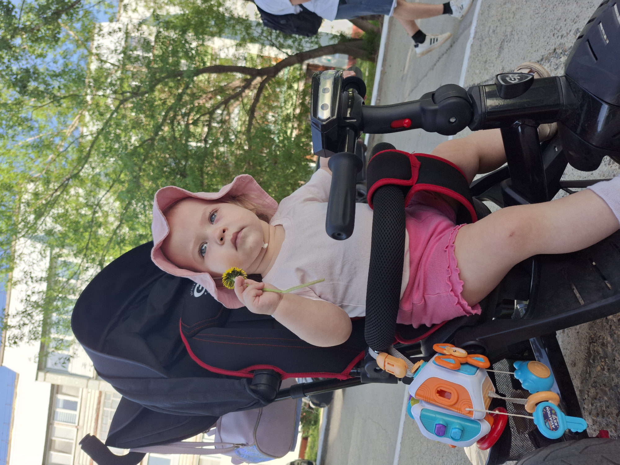 A young child wearing a pink hat and pink shorts sits in a stroller-tricycle, holding a dandelion. The stroller-tricycle has a black frame with red trim and a black seat. A toy is attached to the stroller-tricycle in front of the child. In the background, there are trees, a building, and people walking on a paved surface. The image was taken in Chaikovsky, Russia.