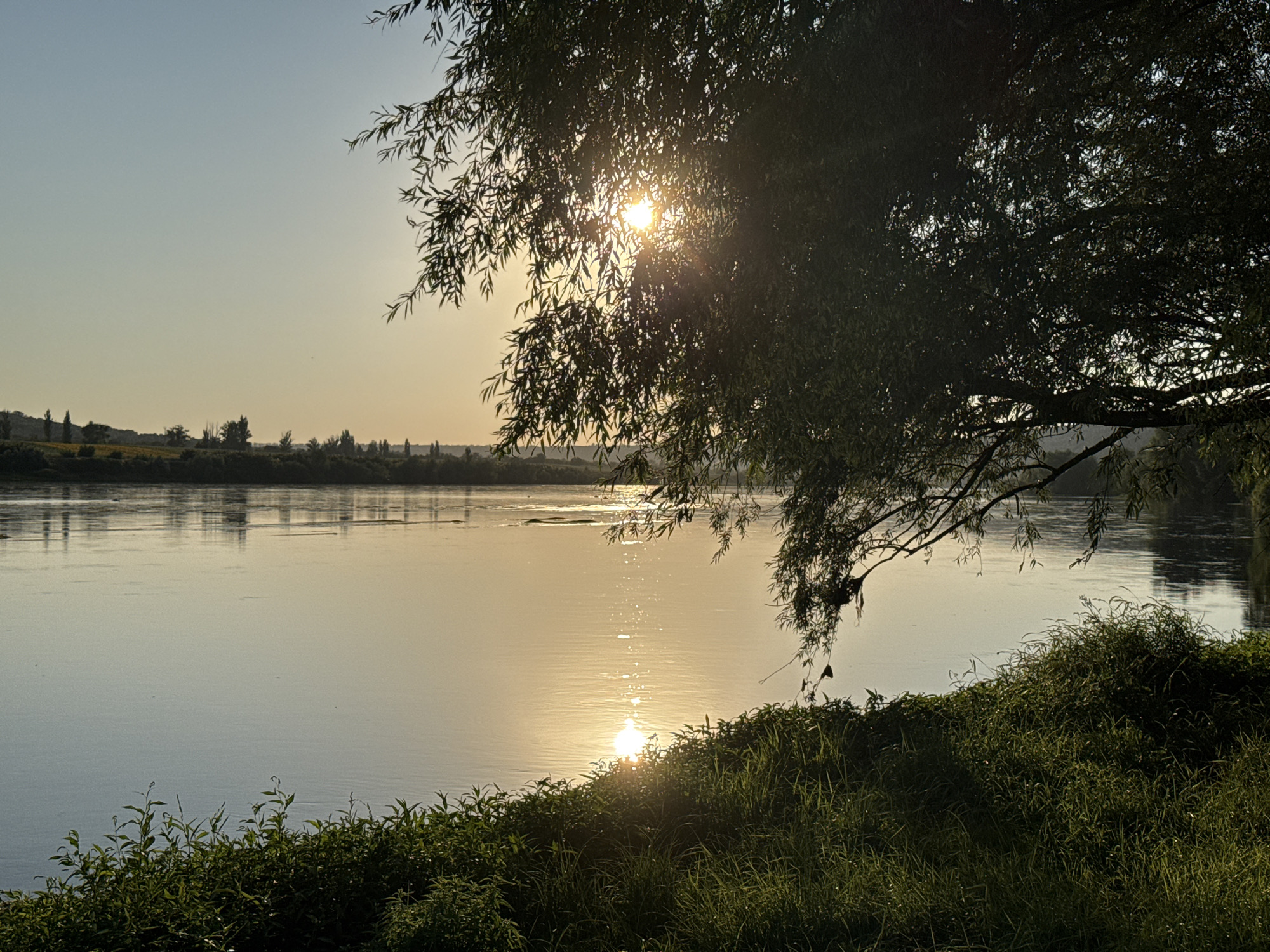 The image depicts a serene sunset over a wide river, possibly the Dniester River, near Grushka, Moldova. A large, leafy tree branch extends into the foreground from the right side of the frame, partially obscuring the setting sun, which casts a warm, golden glow on the water's surface. The river reflects the sky and the sun's rays, creating a shimmering effect. Along the riverbank in the foreground, lush green grass and foliage are visible, bathed in the soft evening light. In the distance, the opposite bank of the river is lined with trees and appears to have some agricultural fields or scattered buildings, silhouetted against the pale sky. The overall atmosphere is tranquil and natural, capturing a peaceful moment in the Moldovan countryside.