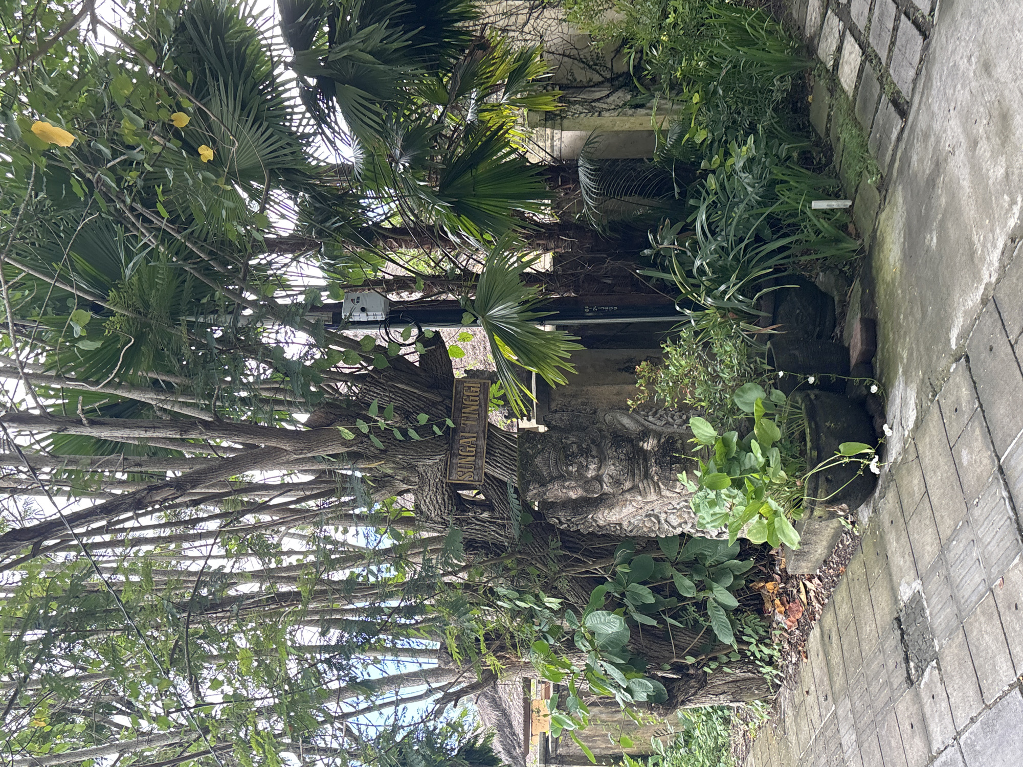 The image depicts a lush, green environment likely in Mengwi, Indonesia, as indicated by the "Sungai Tinggi" sign, which translates to "High River." The scene features a stone structure adorned with carvings, partially obscured by dense foliage consisting of various trees, plants, and palm fronds. A pathway constructed of interlocking stone bricks leads alongside the structure. No people are visible.