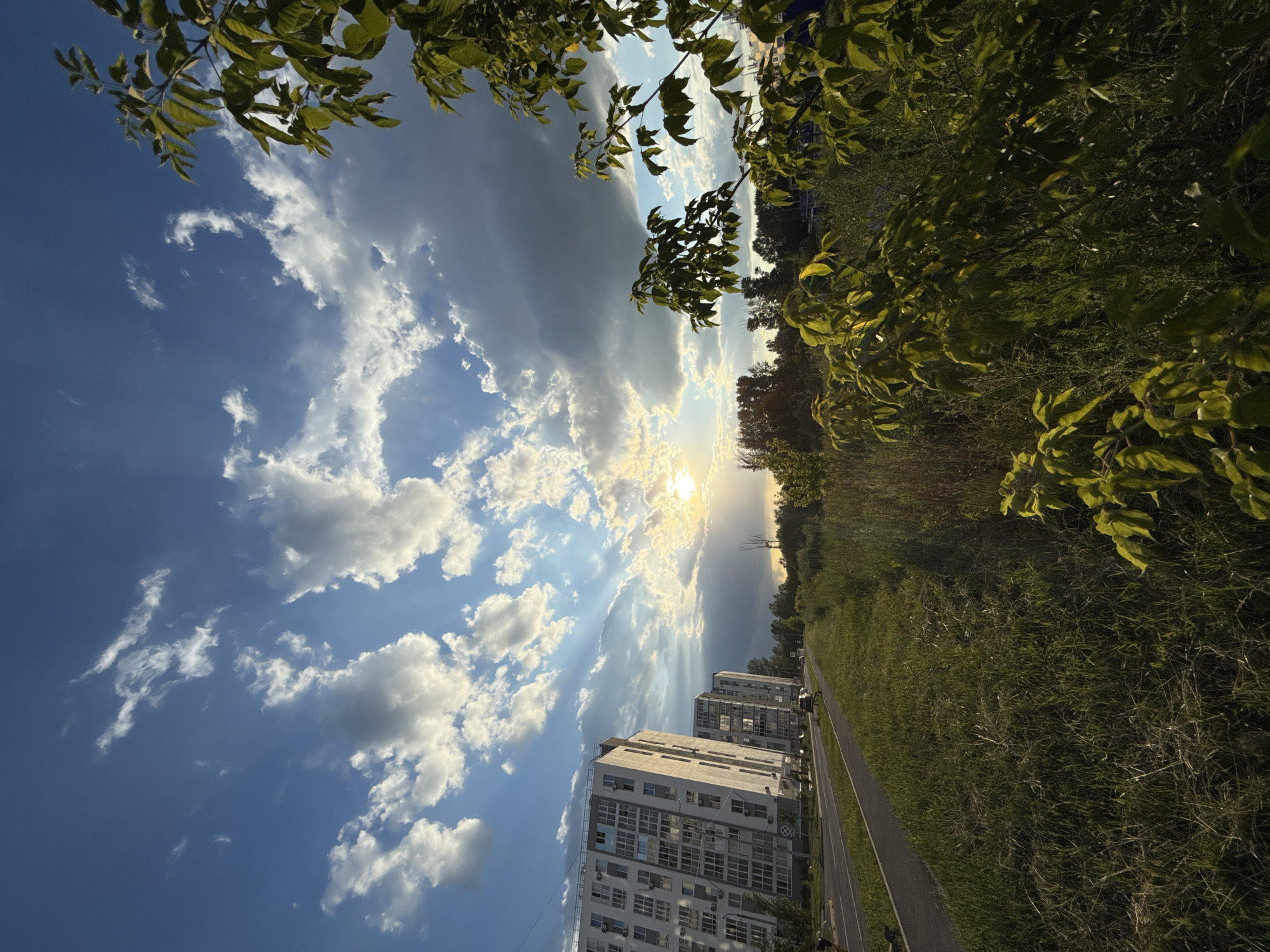 This media file depicts an outdoor scene with a dramatic sky and a residential area. The sky is a prominent feature, with a mix of bright blue sky, scattered white and dark clouds, and the sun partially obscured by clouds, creating a radiant halo effect. Sunbeams are visible, radiating from behind the clouds. Lush green trees with visible leaves frame the top and right sides of the image, adding a natural element to the scene.
In the mid-ground and foreground, there are modern, multi-story apartment buildings with numerous windows. A paved pathway or road runs alongside the buildings, bordered by a grassy area. A few cars are visible on the road, suggesting some activity.
The time of day appears to be late afternoon or early evening, given the angle and quality of the sunlight. The weather seems to be dynamic, with both sunshine and cloudy conditions present. The overall mood is one of a calm, perhaps slightly dramatic, natural and urban landscape. There is no visible text in the image.