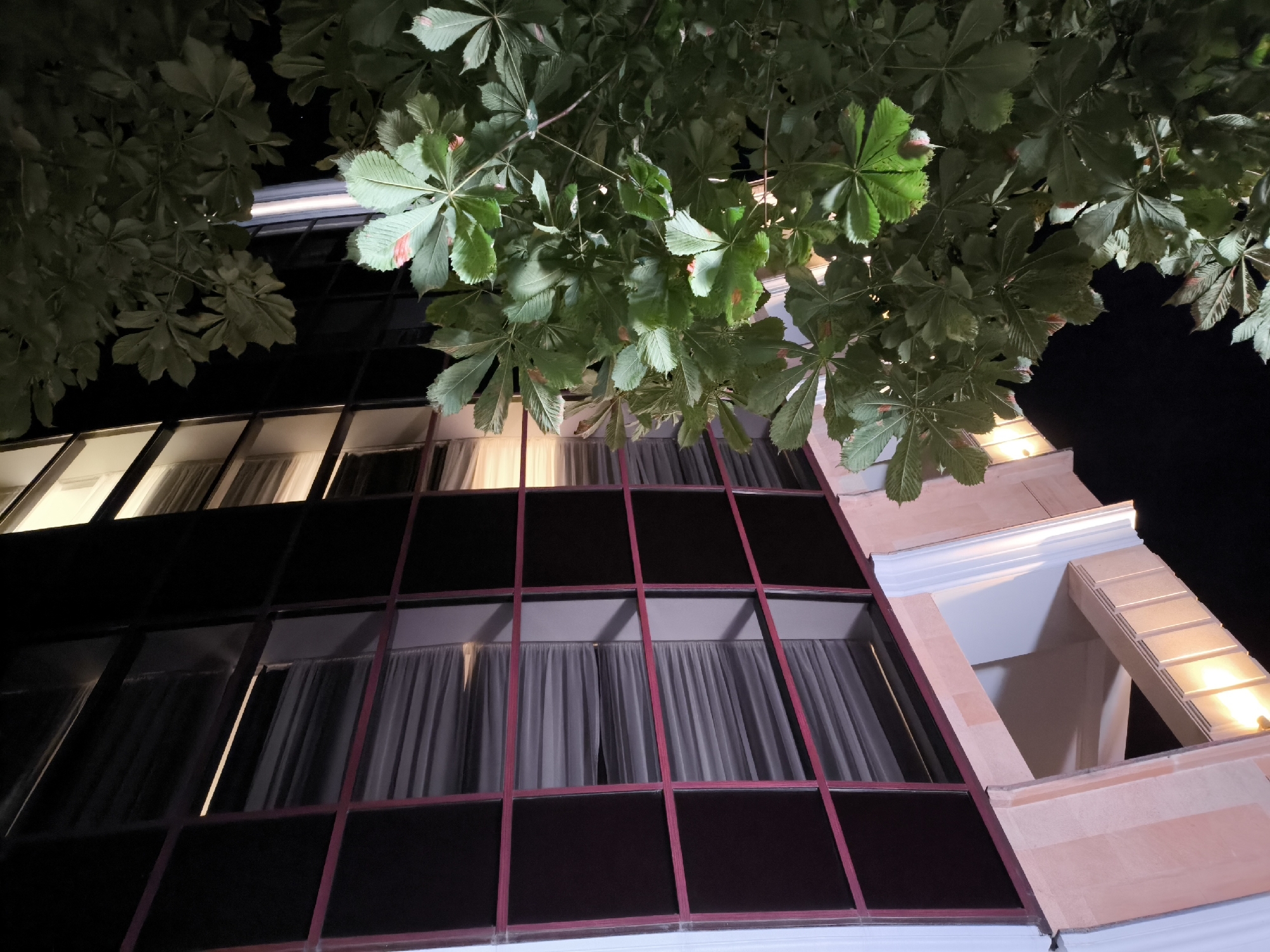 This is a low-angle, night shot of a building facade covered in large, dark-tinted windows framed by dark red mullions. The windows reflect artificial light from inside, revealing white curtains drawn across each section. Above the windows, a light-colored, tiered architectural element with embedded lighting is visible. Overhead, lush green leaves from a tree hang into the frame, their undersides illuminated by the building's lights. The scene suggests an exterior view of a modern building in Yessentuki, Russia, likely at night due to the darkness and artificial lighting.