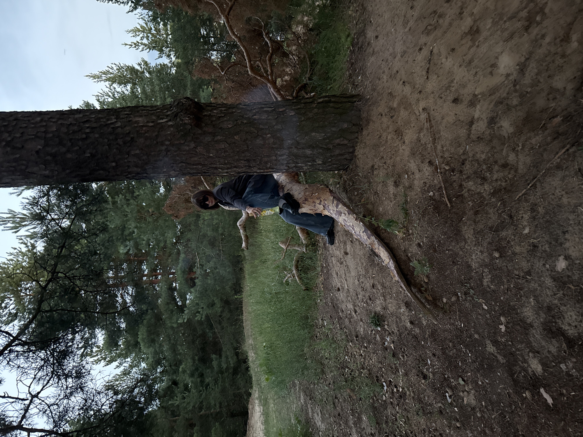 A person wearing sunglasses, a dark jacket, and blue jeans is sitting on a fallen tree trunk in a pine forest. The person is holding a yellow can. The ground is covered in dirt, pine needles, and some green grass. The sky is overcast. The location is Bor, Russia.