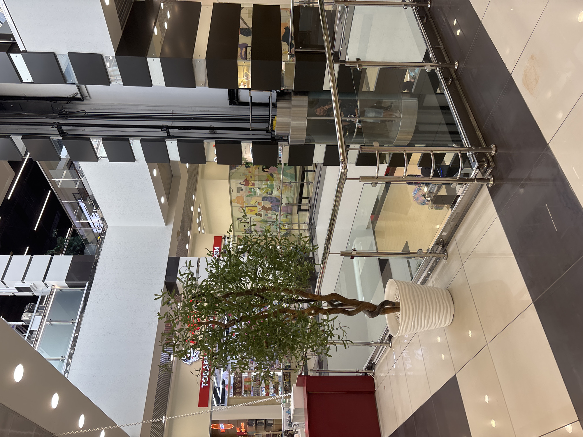The image shows the interior of a multi-story shopping mall, likely in Naberezhnye Chelny, Russia, as indicated by visual context suggesting a Russian-language environment. A central glass elevator shaft with a metallic frame is a prominent feature. On the ground floor, a decorative potted plant with a twisted trunk and green leaves stands next to the elevator. The floor is tiled in a checkerboard pattern of light beige and dark grey squares. A red counter is visible on the left side of the frame, behind which are shelves displaying various items, suggesting a retail store. Above, multiple levels of balconies with glass railings overlook the central atrium. The walls are a mix of white textured surfaces and black and silver decorative panels. The lighting appears to be a combination of recessed ceiling lights and track lighting. In the elevator car, two individuals are visible; one appears to be on the phone.