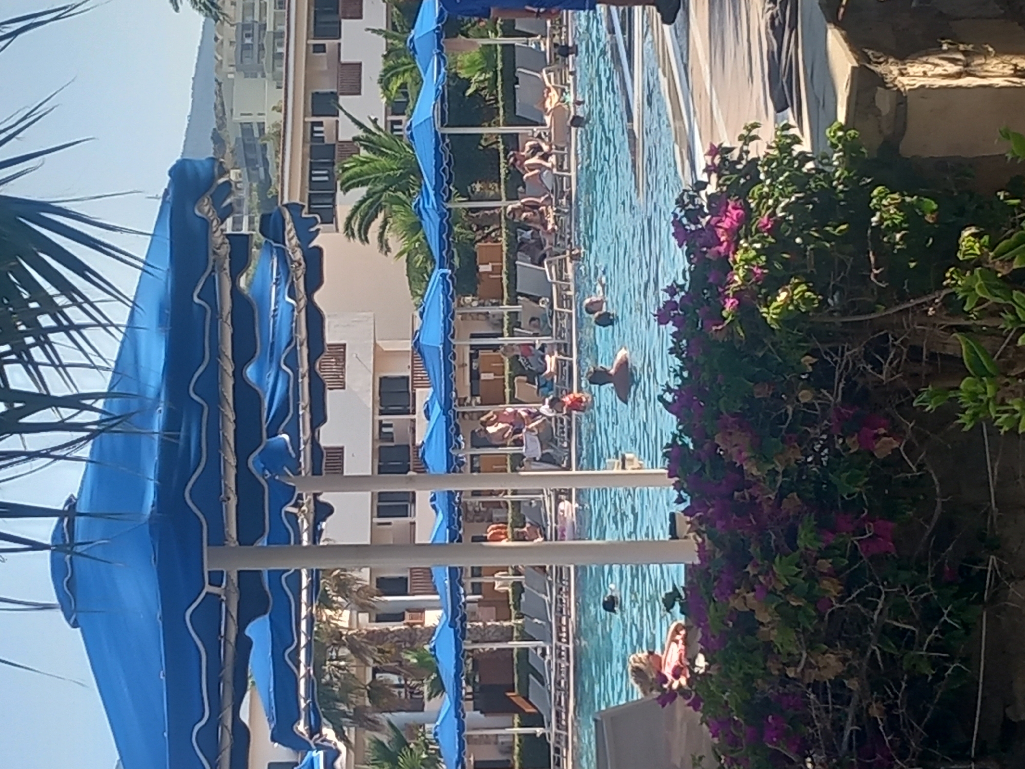The image captures a poolside scene at the Kos Imperial Hotel in Kos, Greece. Large blue umbrellas provide shade over rows of lounge chairs, some of which are occupied by people. The swimming pool is filled with people, some swimming, others relaxing. In the foreground, a bush with vibrant pink bougainvillea flowers is visible. The background features multi-story buildings and lush greenery, indicating a resort setting. The overall atmosphere is one of leisure and vacation.