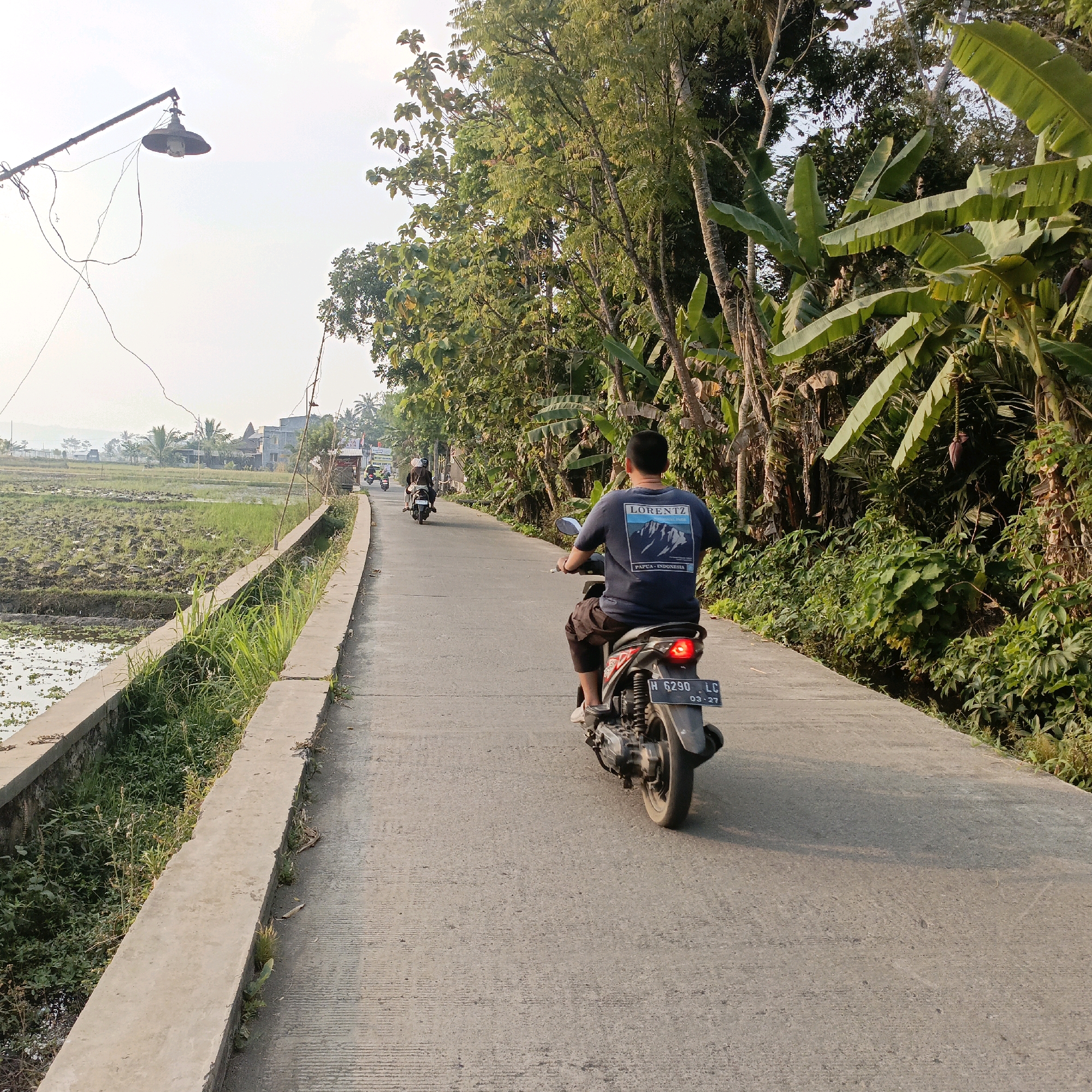 The image depicts a rural road in the city of Unknown, Unknown, during the daytime. The road is paved and curves to the right, bordered on the left by a concrete drainage ditch and agricultural fields. Lush green vegetation, including banana trees, lines the right side of the road.
In the foreground, a man is riding a black motorcycle, facing away from the camera. He is wearing a dark blue t-shirt with a graphic depicting mountains and the text "LORENTZ PAPUA-INDONESIA," and dark shorts. The motorcycle has a license plate that reads "H 6290 LC 03-27." The motorcycle's taillight is illuminated.
Further down the road, two other individuals on motorcycles are visible, also heading away from the camera. In the distance, there are houses and more greenery, suggesting a village or sparsely populated area. The sky is bright and hazy. An old-fashioned street lamp with exposed wiring is mounted on a pole to the left of the road, near the foreground. The overall atmosphere suggests a warm, possibly humid day in a tropical or subtropical region.
