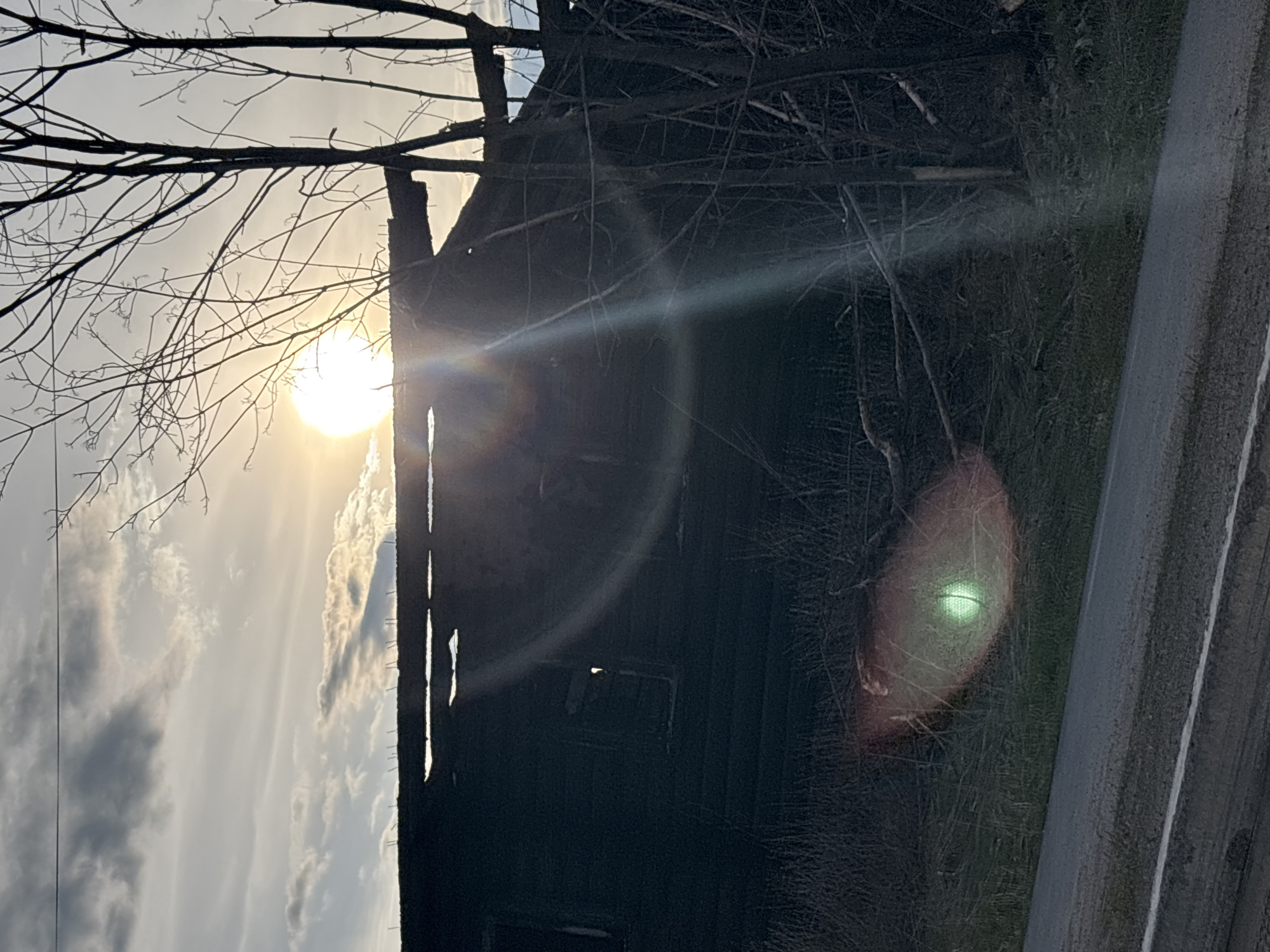 The image shows an exterior view of a dilapidated wooden structure, possibly a house, seen against a bright, partially obscured sun. The structure is silhouetted, revealing significant decay with missing sections and weathered wood. A bare tree with thin branches is in the foreground, partially obscuring the sun and the house. A road with painted white lines runs along the right edge of the frame. Vegetation grows along the edge of the road, partially obscuring it. The scene is heavily backlit, and lens flare artifacts are visible. There is no information about the city of Chaikovsky. No people are visible.