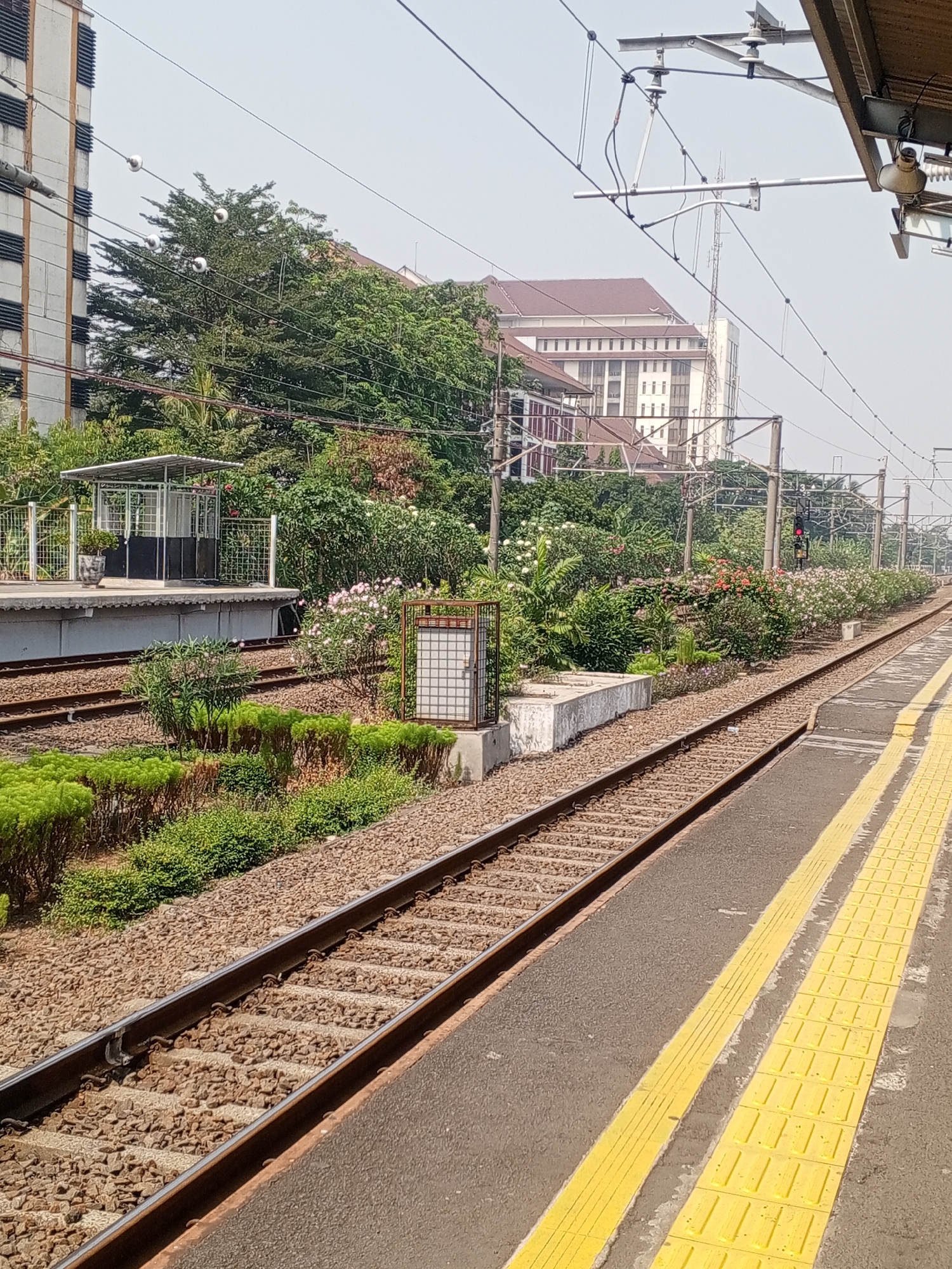 This is a medium-angle, eye-level shot of a train track at a station platform. The scene is set in Depok, Indonesia. The platform is paved with a gray asphalt surface, bordered by two yellow tactile warning strips. Two sets of parallel train tracks are visible, running diagonally from the bottom left to the upper right of the frame. The tracks are laid on a bed of ballast stones. On the left side of the tracks, a raised platform area features a small, enclosed waiting shelter with a metal roof and a white grated front, and a potted plant. Behind the platform, lush green vegetation and flowering bushes in shades of pink and white are abundant. In the background, a tall, modern building with a white facade and dark horizontal window blinds stands prominently. Overhead, a network of power lines and support structures for the electric railway system is visible against a hazy sky. A traffic signal with a red light is also visible in the distance. The image captures a typical urban railway environment in Depok, characterized by its blend of infrastructure, natural elements, and modern architecture.