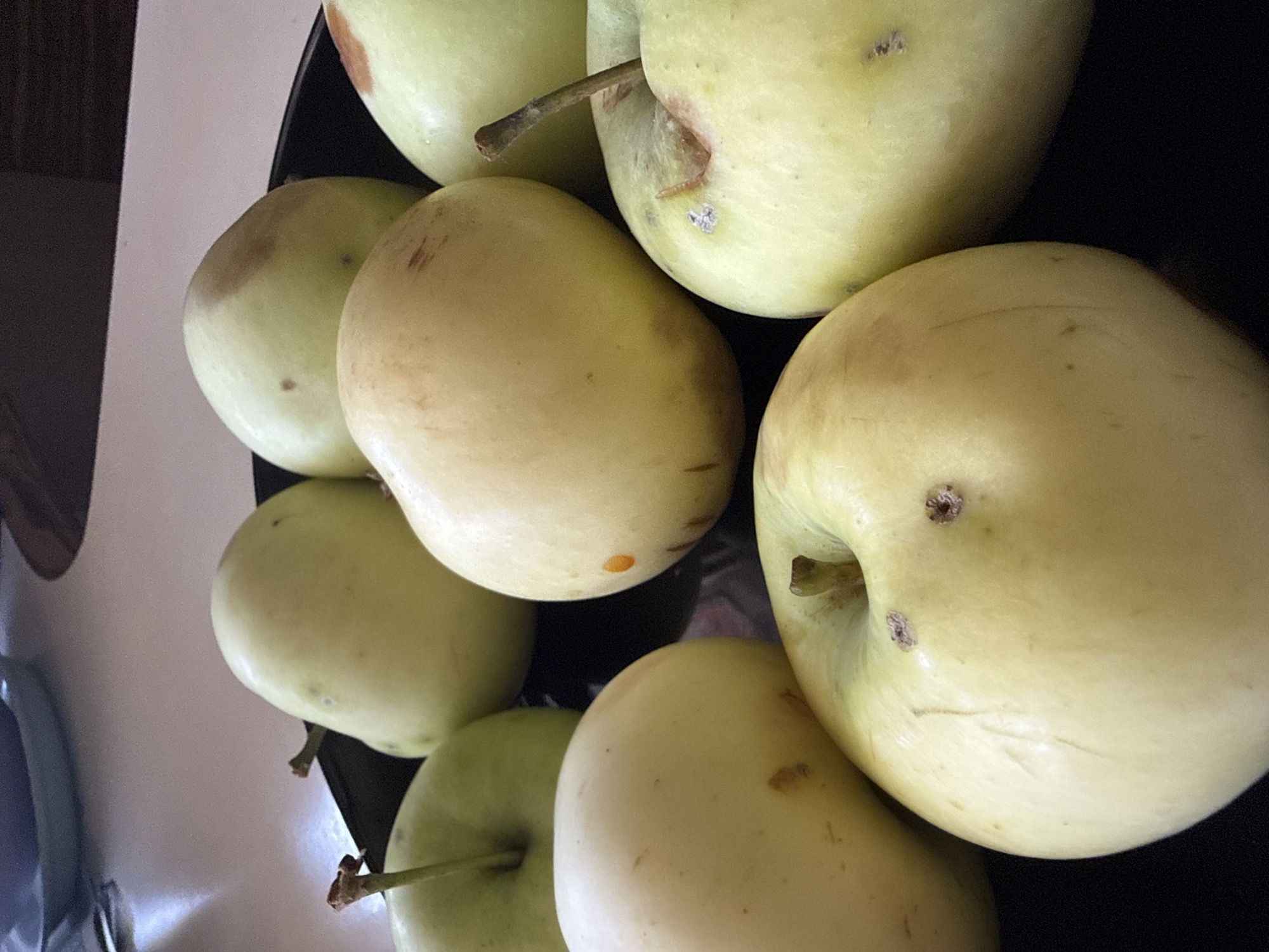 A close-up, overhead shot shows a black plate filled with approximately eight yellow and green apples. The apples vary in size and have some minor blemishes and russeting. The background is a blurred view of a white countertop with hints of blue and brown in the upper left and right corners, respectively. The lighting is natural and soft, creating subtle shadows on the apples and the plate. The scene appears to be indoors, likely in a kitchen or dining area, but no specific city or geographical location can be determined from the image.