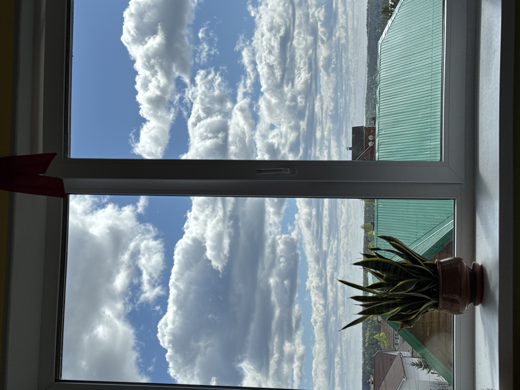 A view from an indoor window shows a blue sky with cumulus clouds, and a neighborhood with green roofs and residential buildings. A potted plant sits on the windowsill in front of the neighborhood. The location is likely Прикамский, Russia.