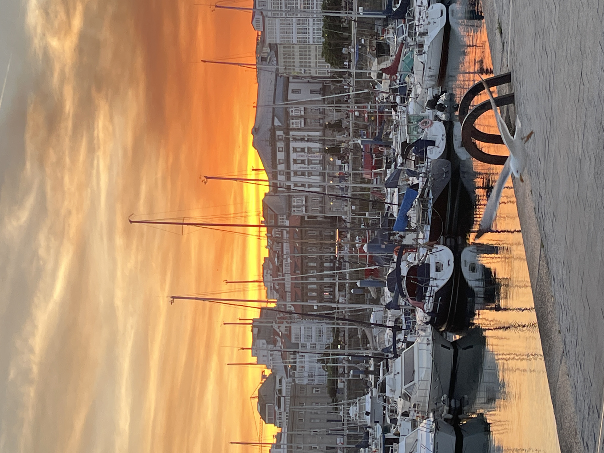 The image captures a vibrant sunset over the port of A Coruña, Spain. The sky is ablaze with intense oranges and yellows, with wispy clouds adding texture. In the foreground, a harbor is filled with numerous sailboats and yachts, their masts creating a sharp contrast against the colorful sky. Several of these boats are docked, while others appear to be at anchor. The water reflects the warm hues of the sunset, creating a shimmering effect. In the background, the city skyline is visible, with buildings featuring distinctive architectural styles, including rows of colorful facades and larger, more modern structures. A prominent concrete promenade runs along the edge of the harbor in the lower right portion of the image, with a seagull in flight over it. The scene evokes a sense of tranquility and the beauty of a coastal city at dusk.