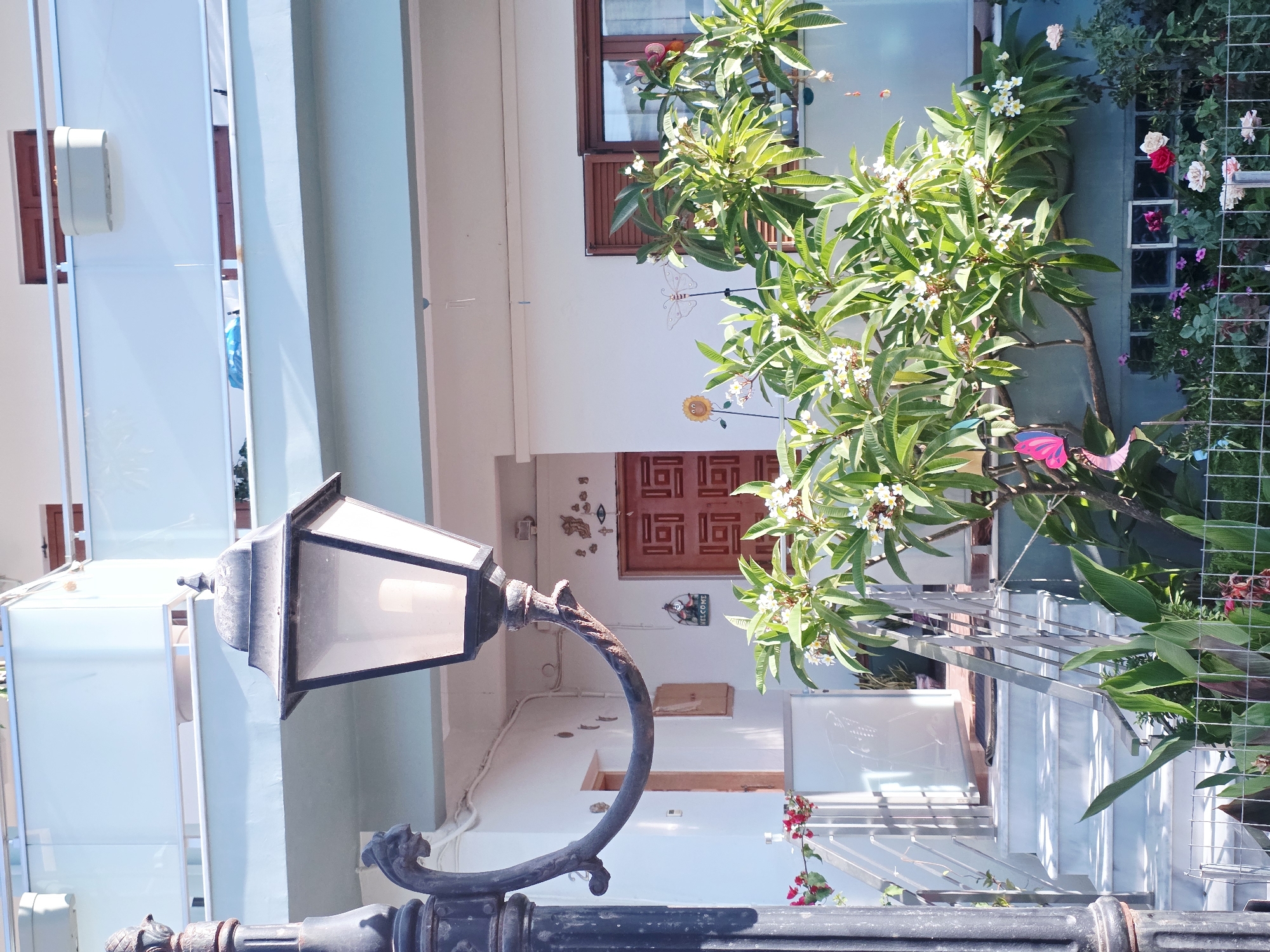 The image depicts an exterior view of a building in Plataniás, Greece, on a sunny day. In the foreground, a black, ornate lamppost with a vintage lantern stands to the left. To the right of the lamppost, a lush green plant with white flowers, possibly Plumeria, is in bloom. The plant is positioned in front of a white building with a light blue railing on the second floor.
A set of marble stairs leads up to the entrance of the building. The entrance features a dark wooden door with a geometric pattern. Decorative elements, including a small sign with "WELCOME" and a figure, are visible near the door. On the wall above the entrance, there are some decorative items, including a stylized eye.
Further to the right, a window with closed brown shutters is visible on the building's facade. A fence encloses a garden area at the bottom of the image, where various plants and flowers, including roses of different colors, are growing. A pink butterfly ornament is attached to the foliage of the flowering plant. The sky is clear and blue. The scene suggests a residential or small commercial property in a Mediterranean setting.