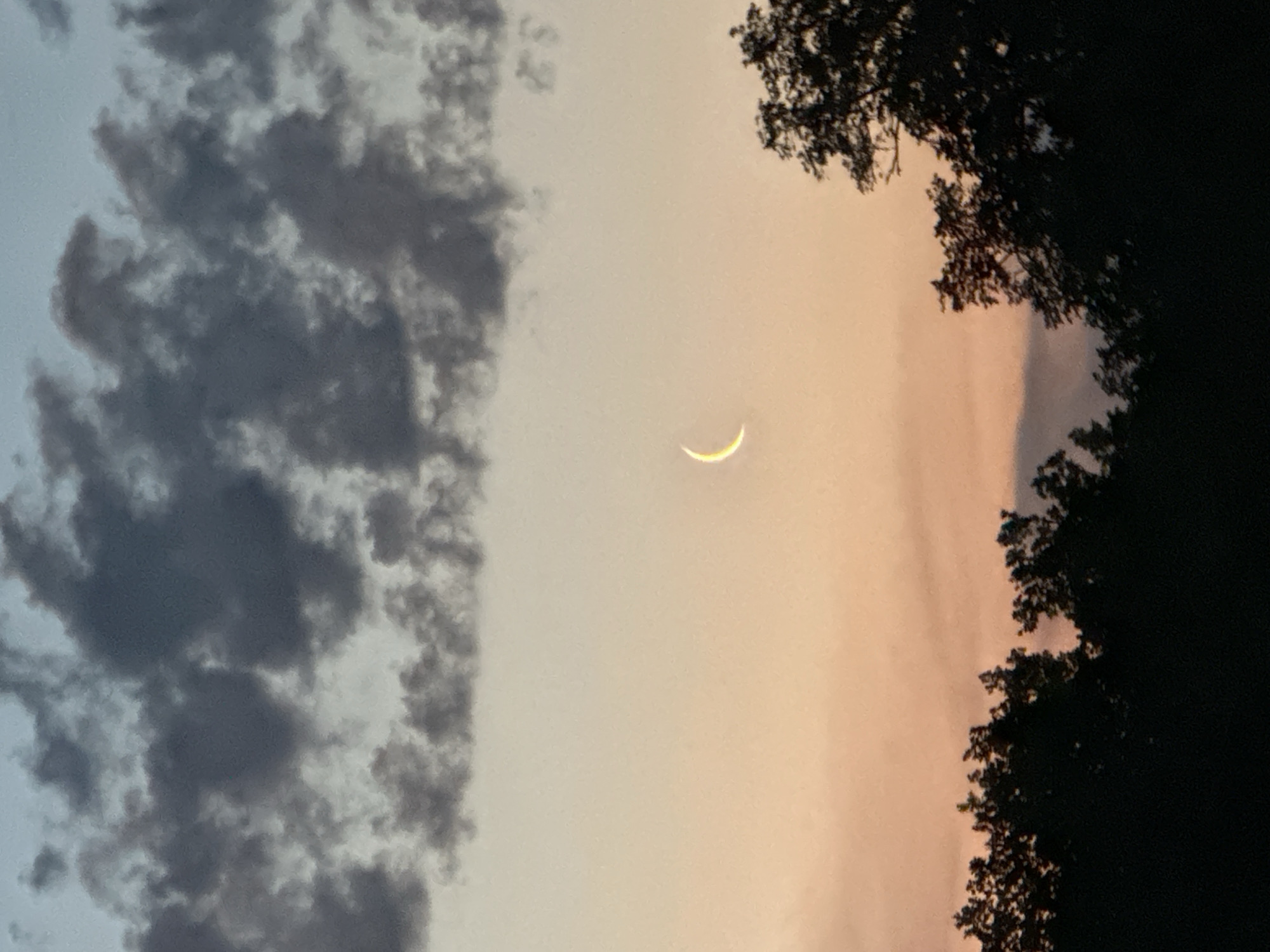 A crescent moon hangs in a dusky sky, silhouetted against a gradient of pale blue and peachy orange. Dark, wispy clouds drift across the upper portion of the frame. The bottom of the image is dominated by the dark, jagged outline of trees, suggesting a natural setting or the edge of a park. The scene appears to be a twilight or early evening shot. The location is not specified within the image.