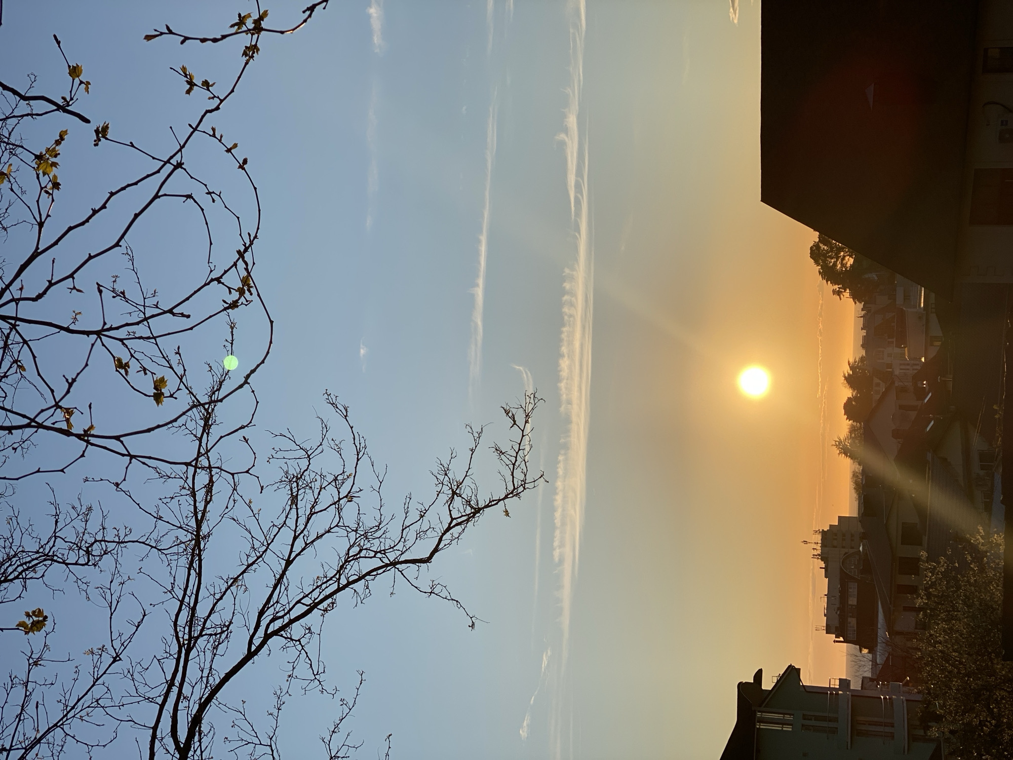 The image captures a sunrise over an urban landscape. A bare tree with emerging leaves stands in the foreground to the left, contrasting with the clear, gradient sky shifting from light blue to golden yellow. Three long, thin cloud formations stretch vertically across the sky. The sun is centrally positioned, radiating light. In the background, rooftops of buildings and trees are silhouetted against the bright morning light. The location is assumed to be in a city or town. There are no people visible. The sky is the primary environment, contrasting with the manmade and natural features on the ground. It is not possible to verify that it is Sochi, Russia.