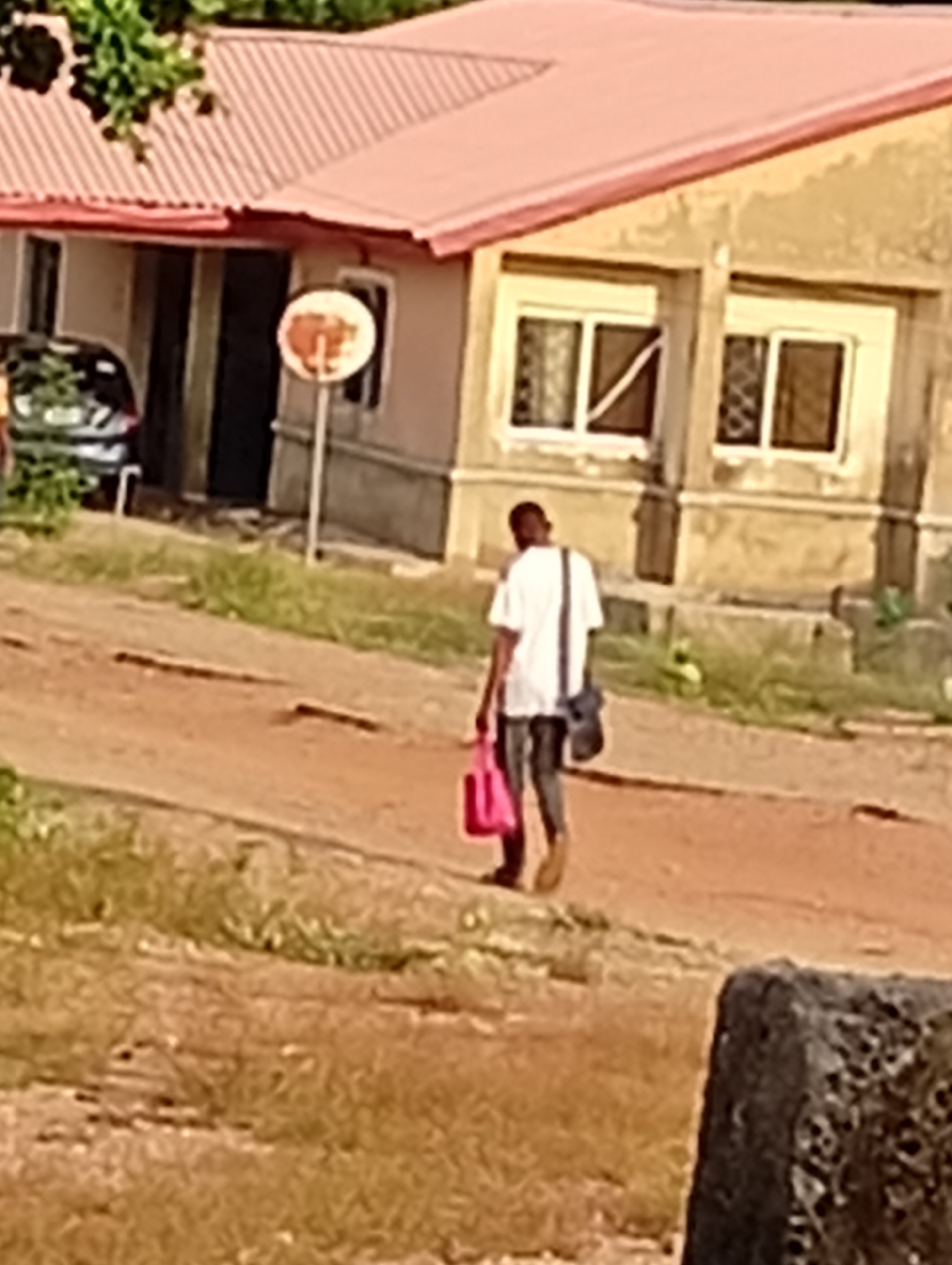 A medium shot of a man walking away from the viewer in Adankolo, Nigeria. He is wearing a white t-shirt, grey pants, and brown shoes. He has a dark-colored bag slung across his shoulder and is holding a bright pink shopping bag in his right hand. He is walking on a dirt path, toward a tan-colored building with a salmon-colored roof. There is a car parked in front of the building. A sign is on the side of the building. The grass is tan and brown due to the dry season. A grey concrete block is in the foreground.