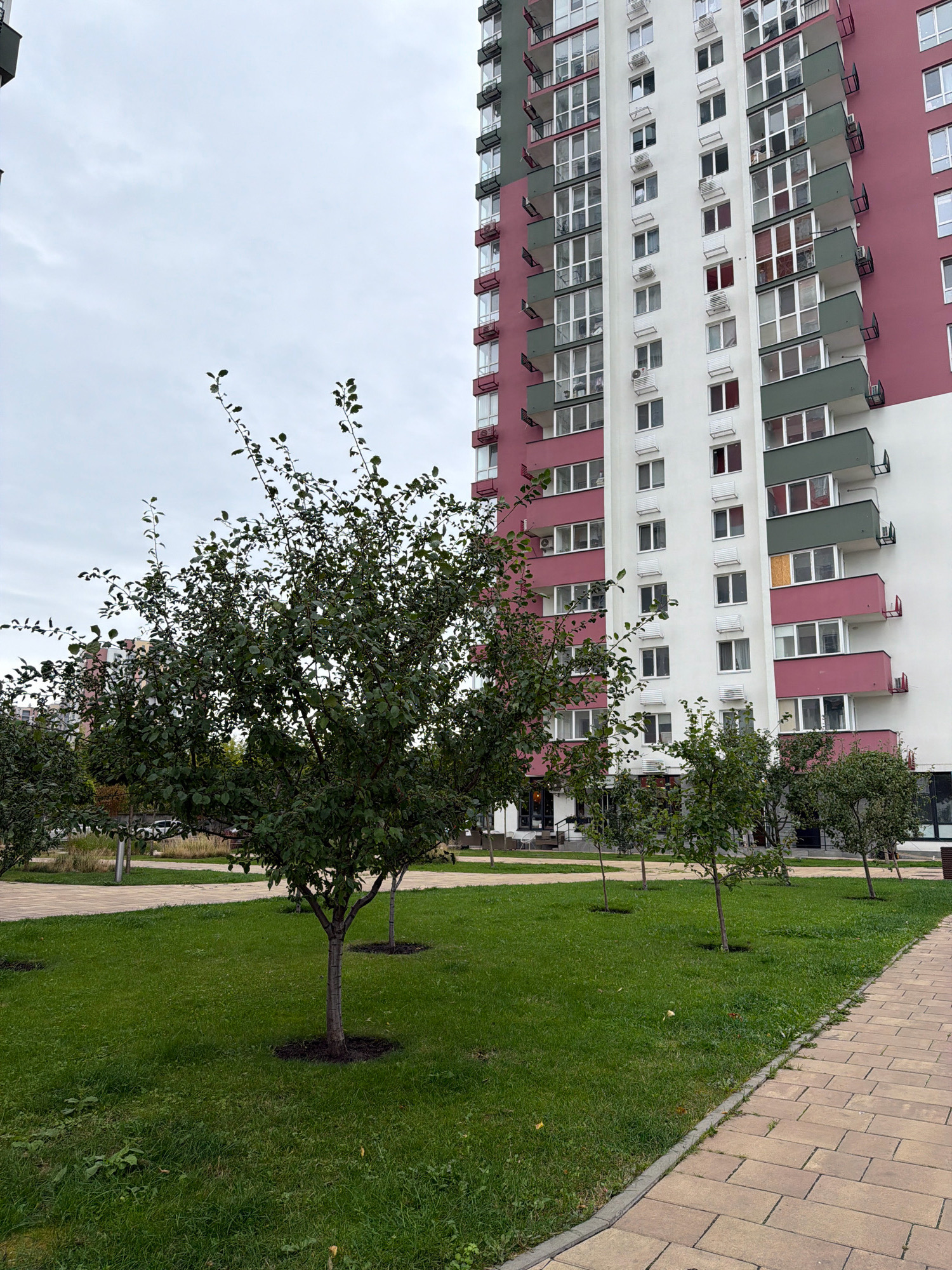 A full shot captures a modern apartment building in Kyiv, Ukraine, featuring a facade of white, pink, and dark green panels, with numerous balconies and windows. In the foreground, a neatly mown lawn is dotted with several young trees. A paved walkway with light brown rectangular tiles runs along the right side of the image, bordering the lawn. The sky above is overcast and pale. The overall scene depicts a residential area with landscaping.