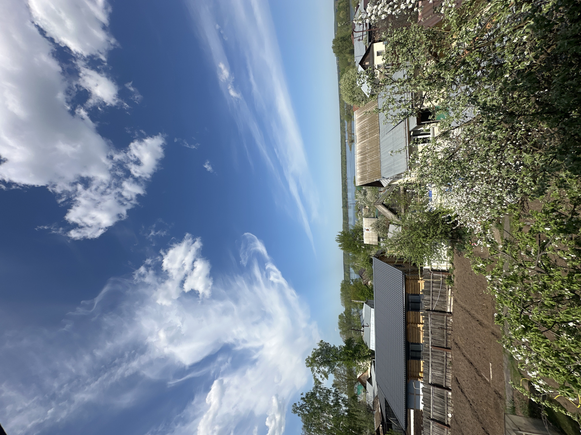 The image captures a view of a rural or suburban area, likely near the city of Chaikovsky, Russia. A river or large body of water is visible in the distance, separating the near landscape from a distant treeline. The sky is partially covered with clouds, displaying a mix of cumulus and cirrus formations. Closer to the foreground, the scene is dominated by residential houses with pitched roofs, surrounded by trees and vegetation. It appears to be springtime, as some trees are flowering. A plowed garden plot and wooden fence are also in view. No people are directly visible in the image.