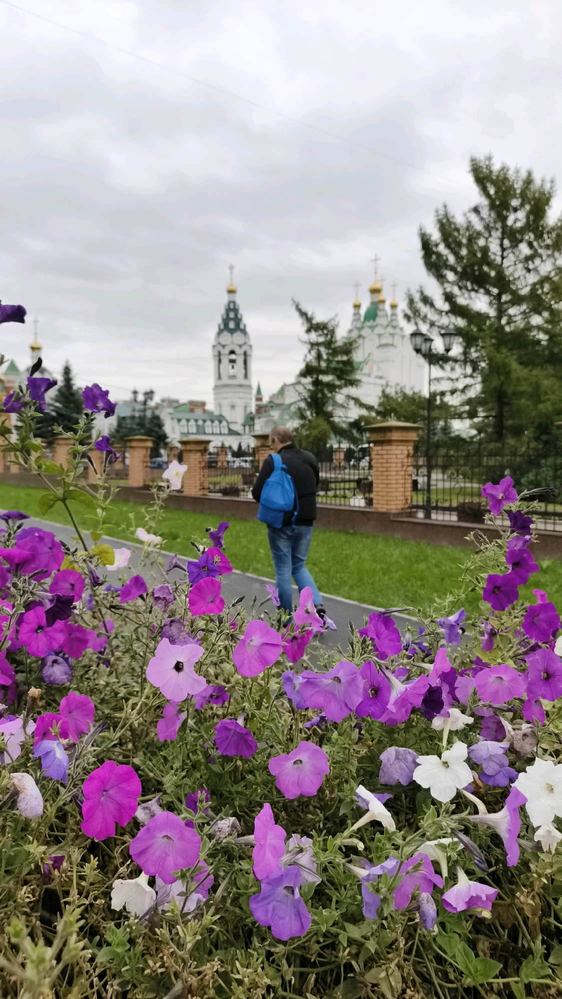 A man with a bright blue backpack walks on a paved path, away from the camera. He is wearing a dark jacket and blue jeans. The path is bordered by a grassy area and a decorative fence. In the foreground, a bed of vibrant pink and purple petunias is in full bloom. In the background, several church domes with golden crosses are visible, along with trees and a cloudy sky. This scene is likely at the National Art Gallery of the Republic of Mari El in Yoshkar-Ola, Russia, given the distinctive architecture of the churches and the common presence of flowerbeds in public spaces there.