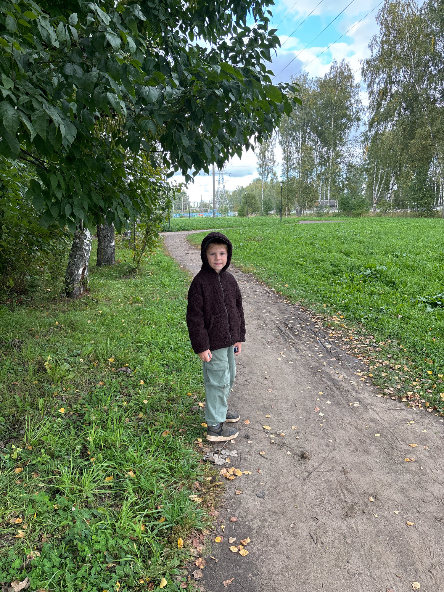 The image depicts a young boy standing on a dirt path in a park-like setting. He is wearing a dark brown hooded jacket and light green pants. The path curves to the right, with a grassy area to the left and a wider expanse of grass and trees on the right. Several birch trees are visible in the background, along with power lines and a blue sky with some clouds. Fallen leaves are scattered on the path and grass, suggesting an autumn season. The scene appears to be an outdoor recreational area, possibly a park within the city of Yaroslavl, Russia. The boy is looking towards the camera.