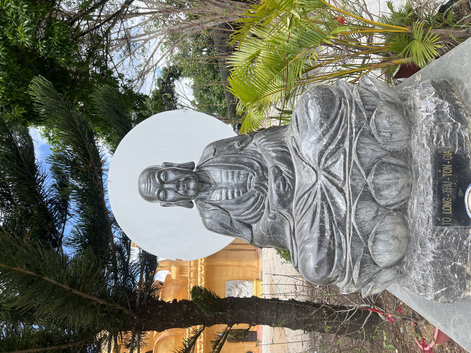 A dark grey stone statue of an elderly bald male figure, identified by a plaque as "TÔ LONG - THU - TÔN - GIA," is centrally positioned outdoors in Đăk Mar, Vietnam. The figure is seated in a cross-legged meditative posture with hands clasped in the lap, eyes closed, and a visible ribbed torso under a draped robe. It rests on a lotus-petal pedestal, which is supported by a rough-hewn rectangular stone base. A prominent white circular disc acts as a halo behind the figure's head. To the left, a large tree with dark bark and pine-like needles partially obscures a multi-tiered, golden-colored temple structure with intricate architectural details. A faint white relief carving is visible on the temple wall. To the right, dense green foliage, including vibrant palm-like plants and leafless deciduous trees, occupies the background. The ground directly in front of the statue appears to be unpaved earth. Overhead, a bright blue sky with sparse white clouds is visible through the tree canopies.