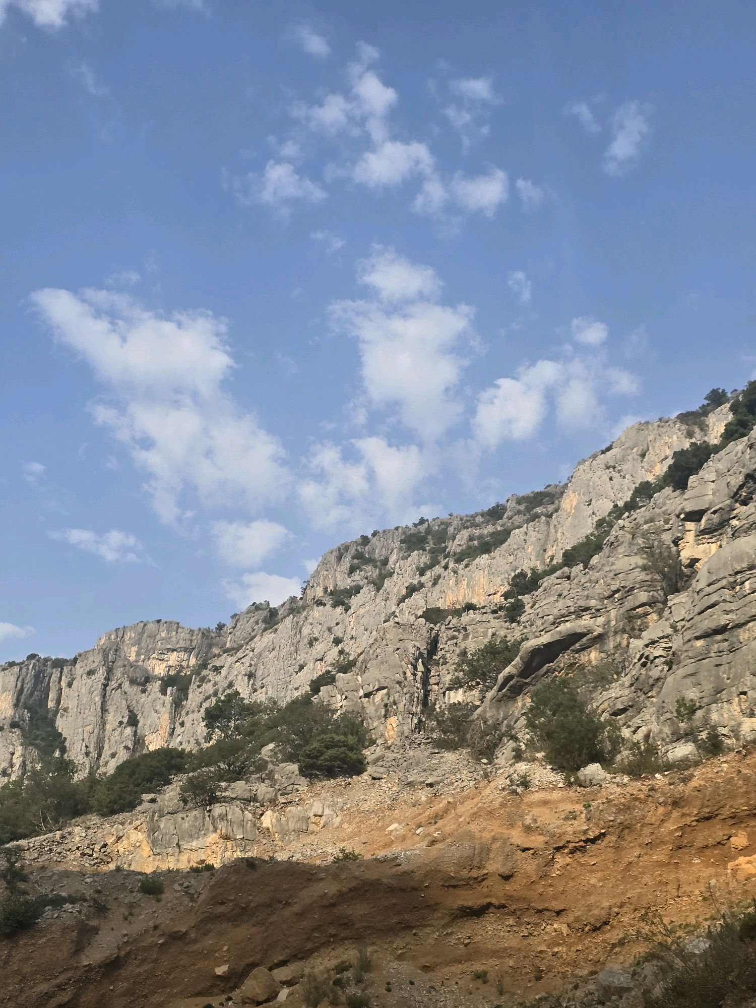 The image depicts a steep, rocky mountainside under a bright blue sky dotted with scattered white clouds. The rock formations are varied in texture and color, with shades of gray, tan, and orange visible. Sparse green vegetation, including small trees and shrubs, grows in crevices and on ledges of the mountain. The foreground shows a rocky, eroded slope with loose stones and reddish-brown soil. There are no people or man-made structures visible in the image. The scene is natural and undeveloped, characteristic of a mountain landscape in or near Podgorica, Montenegro.