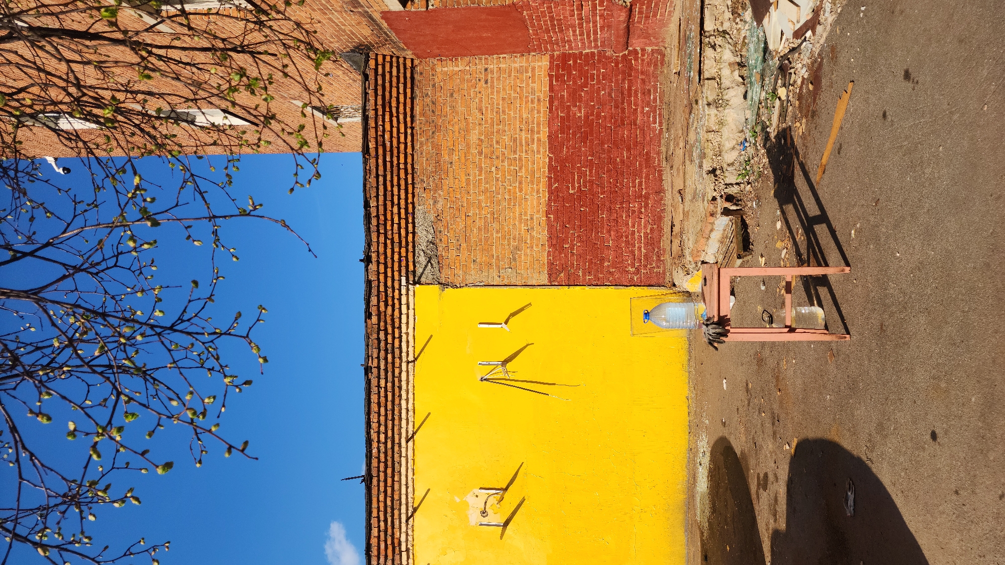 The image depicts an outdoor scene in Zelenograd, Russia. A building facade dominates the upper portion of the frame, featuring a vertical stratification of different colors and materials: brick (orange and red hues), yellow paint, and a blue sky above, where branches with fresh green buds extend. The lower part of the image showcases an asphalt surface with puddles. A crude, metal stand or table rests on the asphalt, holding large, clear plastic water bottles. Debris and discarded items are visible along the base of the building.