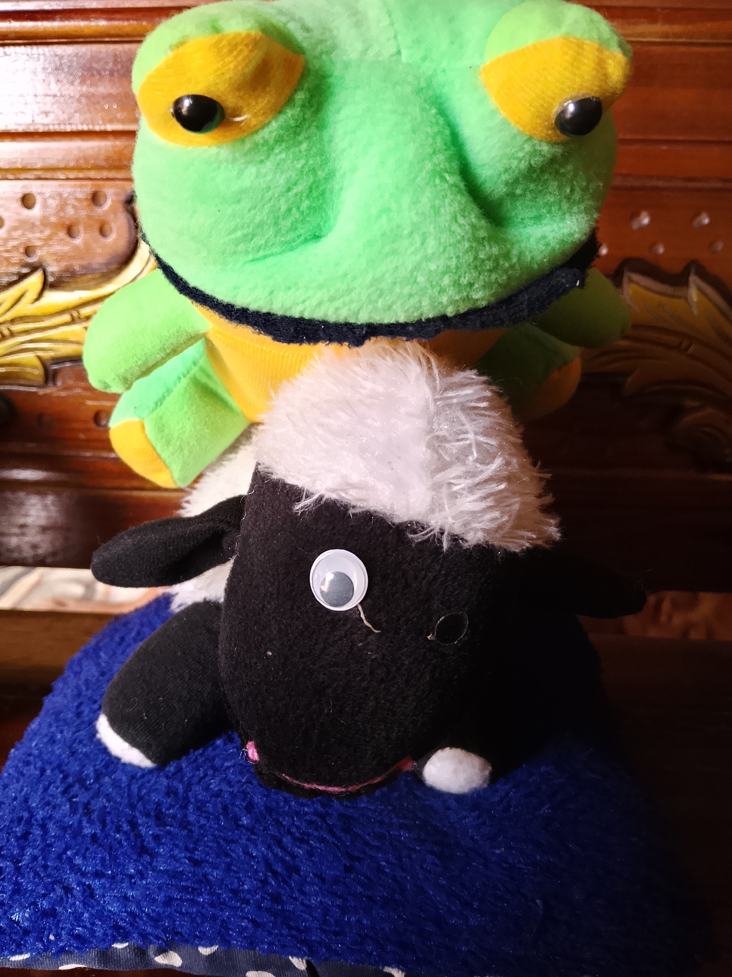 A close-up, vertical, eye-level shot captures two stuffed toys positioned on a dark wooden surface. The upper toy is a bright green frog with yellow accents around its large, black-eyed eyes. The frog is partially obscured by the toy below it. The lower toy is a black and white sheep, also a plush stuffed animal. Its head is black with a fluffy white tuft of wool on top. It has a single googly eye attached to its face, and a small white pom-pom for its nose. The sheep is resting on a textured, vibrant blue fabric, which is itself placed on a surface with a white polka dot pattern. The background is a dark wooden surface, likely furniture, with visible grain and some carved details. The overall lighting suggests an indoor setting, with natural light possibly coming from the side. The image appears to have been taken in Kasiman, Indonesia.