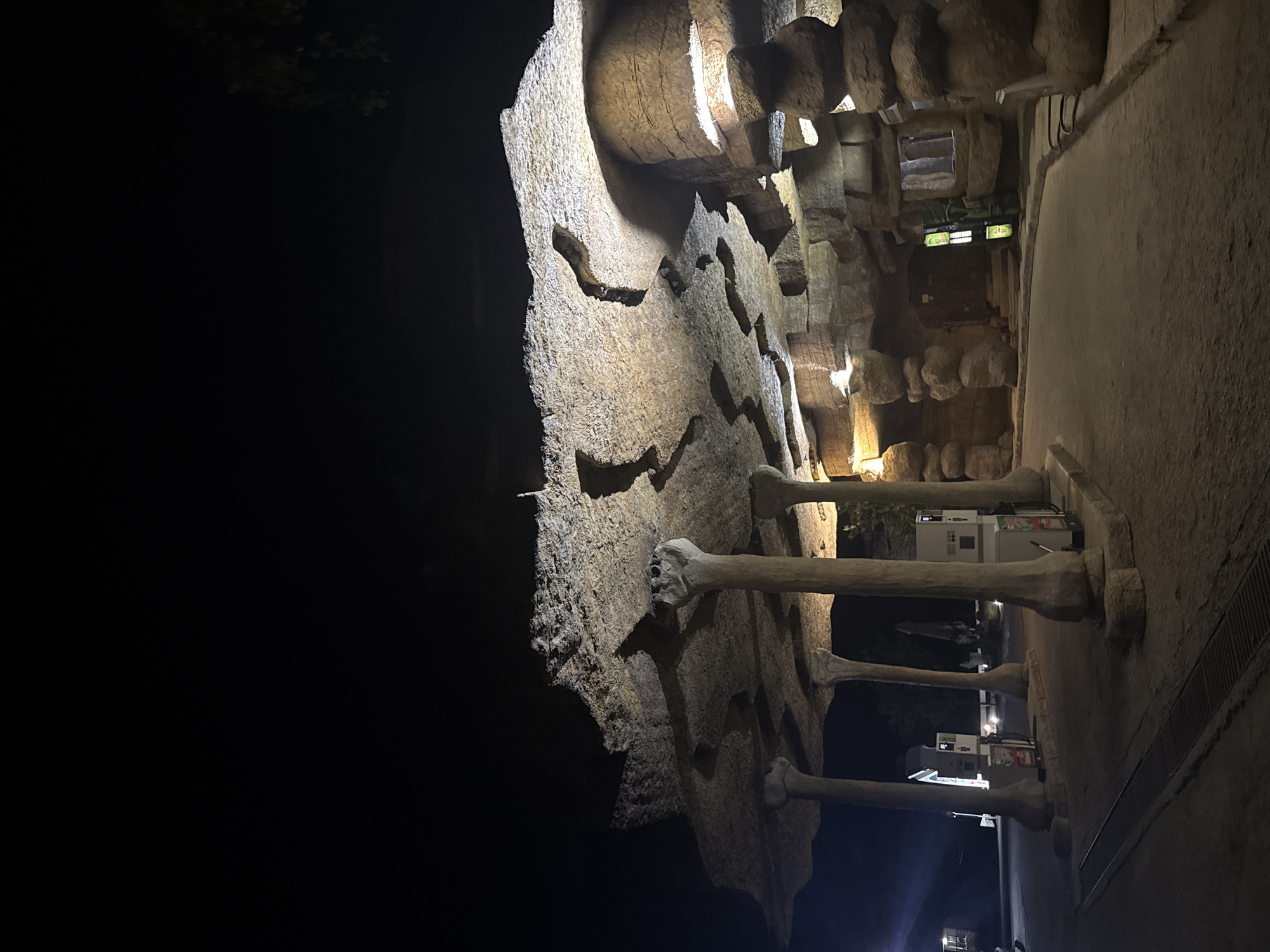 The image shows an outdoor scene at night. The primary subject is a building with a unique, rough-hewn, rocky facade and roof supported by thick, irregular pillars. The architecture gives the impression of a natural cave or an artificial structure mimicking one. The roof has openings and is illuminated from underneath, creating dramatic shadows. The building appears to be a gas station, with several visible gas pumps in the foreground. The ground is paved with a rough, sandy material. The background is dark, with a few trees visible on the right side and a faint light in the distance to the left. The scene is devoid of any people. This structure is a unique gas station located in the city of Omurtag, Bulgaria, known for its distinctive architectural design resembling a cave.