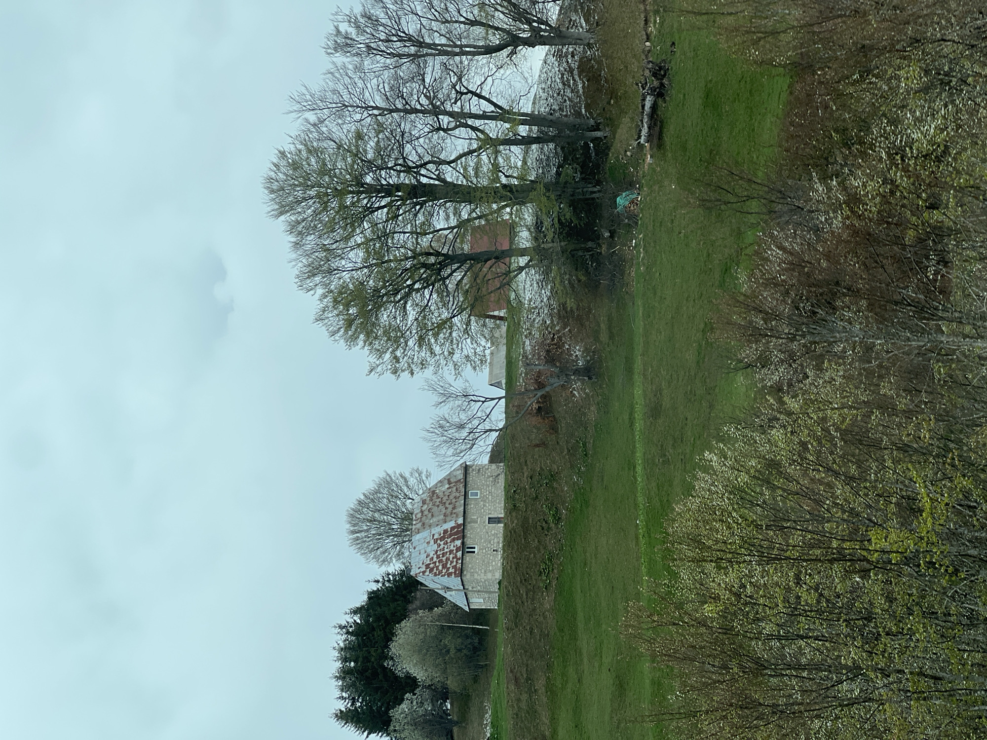 This image captures a serene, rural landscape in Provalija, Montenegro, likely during early spring on an overcast day. The scene is dominated by rolling green hills and a varied array of trees under a light grey, cloudy sky.
In the mid-ground, a rustic, two-story stone building stands prominently, featuring a distinctive multi-toned, rusty corrugated metal roof. This structure, possibly an old house or farm building, has several rectangular windows and a door visible on its facade. To the left of this building, a dense cluster of dark green evergreen trees provides a strong visual contrast. Scattered around and behind the stone building are several deciduous trees with bare branches or just beginning to show signs of budding foliage, indicating the transition from winter to spring.
Further into the background, behind a line of these early-leafing deciduous trees, another building with a reddish-brown roof is faintly visible. The foreground and mid-ground consist of vibrant green grass, suggesting meadows or pastures. On the right side of the image, a denser arrangement of trees and bushes with newly emerging green leaves creates a natural boundary. Near the center-right, on the grassy slope, a fallen tree trunk or a pile of cut wood is visible, alongside a piece of green material on the ground.
No people or specific activities are depicted, giving the scene a quiet and undisturbed atmosphere. The overcast sky contributes to a soft, diffused light across the landscape. No visible text is present in the image.