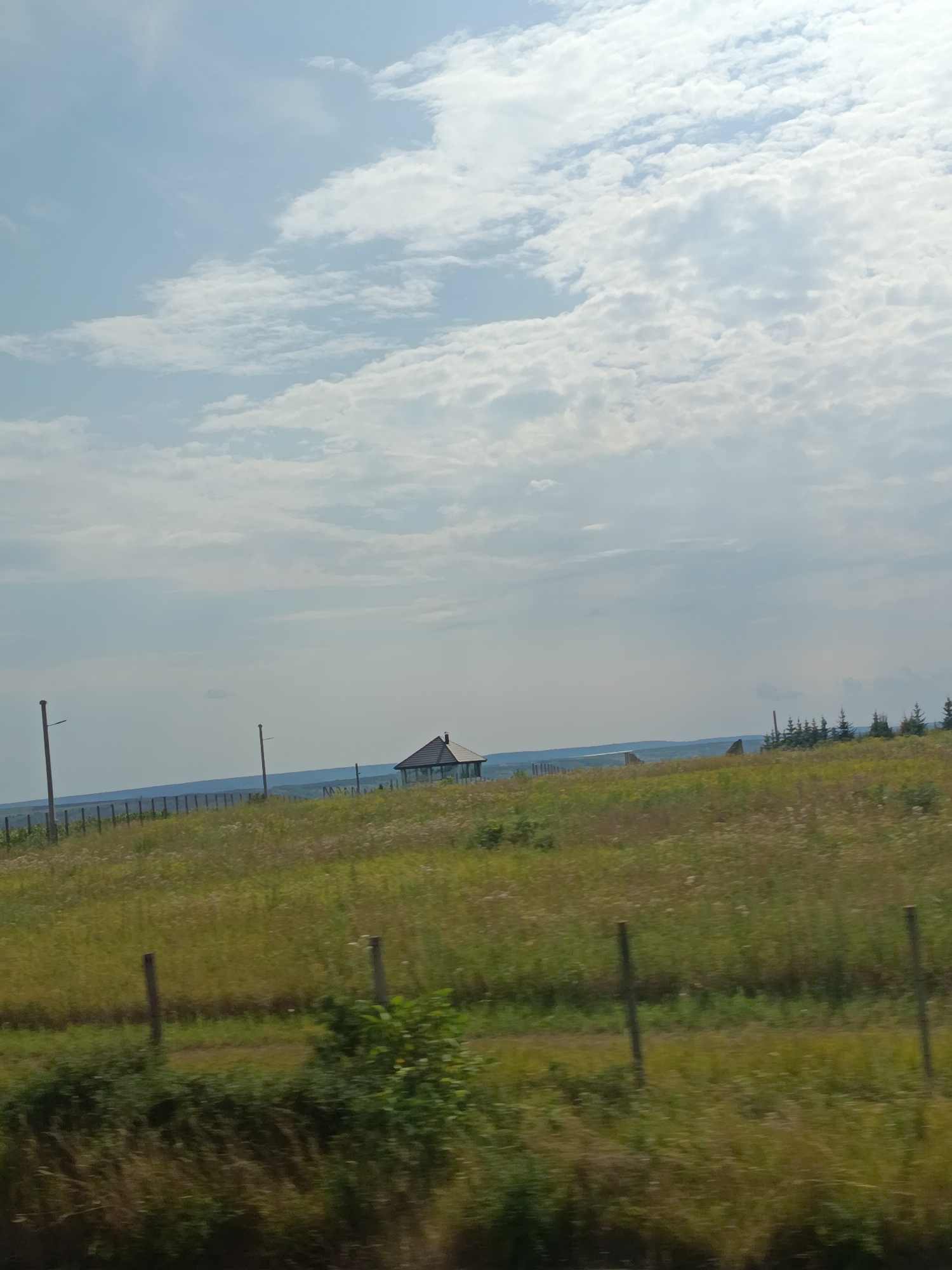 The image depicts a pastoral landscape with a clear sky and scattered clouds. In the mid-ground, a small, open-air structure with a dark roof is visible, resembling a gazebo or a small pavilion. It is situated on a grassy hill with scattered trees in the distance. A fence line runs horizontally across the mid-ground, separating the grassy area from a darker, possibly wooded, area beyond. The foreground consists of a field of tall, dry grass, with several wooden posts from a fence visible, suggesting a boundary or enclosure. The overall scene is one of rural tranquility, likely an outdoor recreational area or farmland. The specific location within Horești, Moldova, cannot be determined solely from the visual information presented.