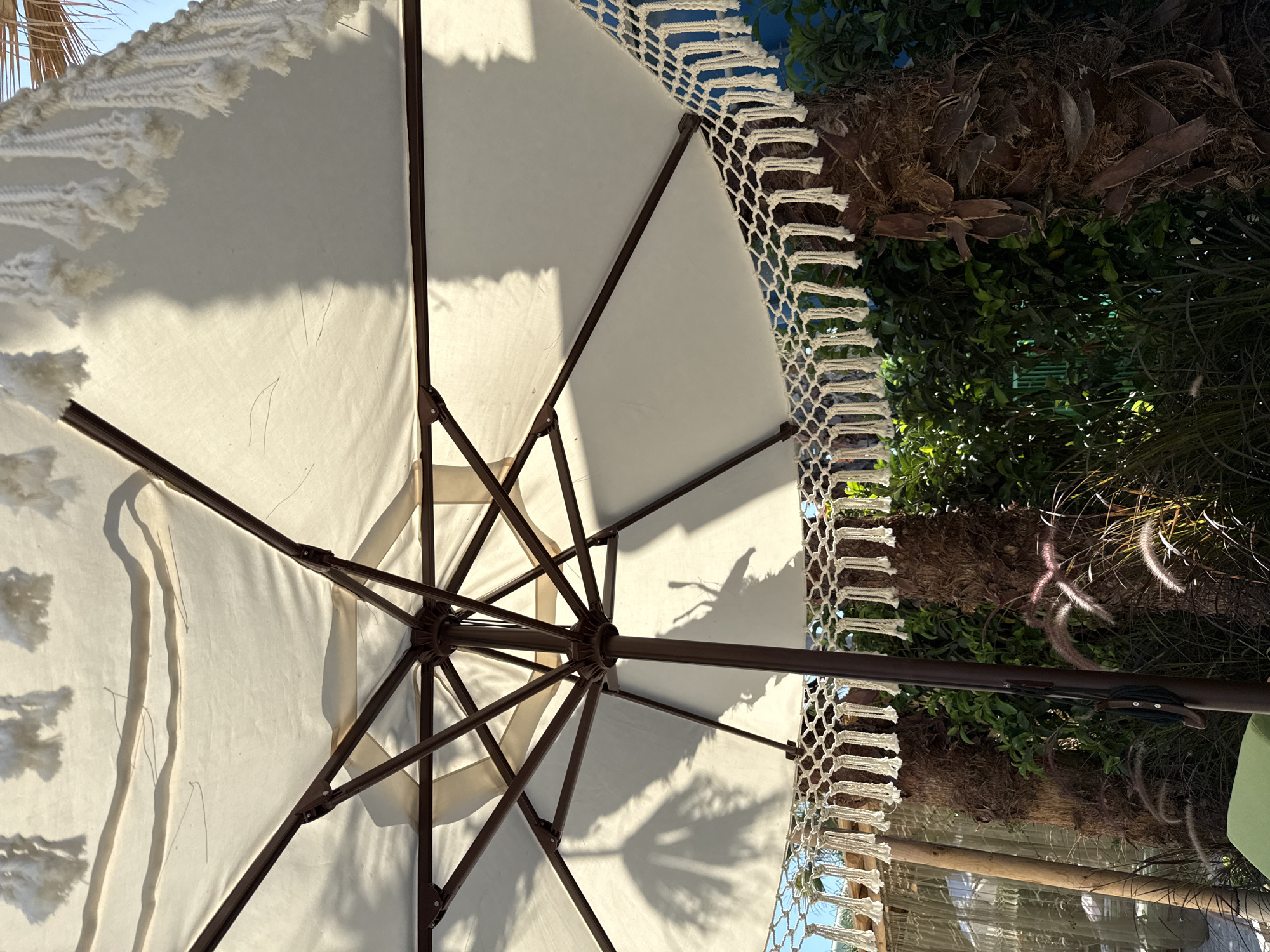 This is a close-up, low-angle, outdoor shot of a white umbrella in Bodrum, Turkey. The umbrella is open, with its interior structure of dark brown metal ribs visible. The fabric of the umbrella is a plain white, with a decorative macrame trim hanging from the edge, featuring tassels. Sunlight casts shadows of palm fronds and perhaps the umbrella's ribs onto the underside of the fabric. In the background, there are palm trees with rough, brown bark and lush green foliage. Some ornamental grasses with feathery seed heads are in the foreground. The lighting suggests it is daytime, likely morning or afternoon, with bright sunlight. No people are visible. The scene evokes a relaxed, tropical atmosphere, typical of a resort or beach area.