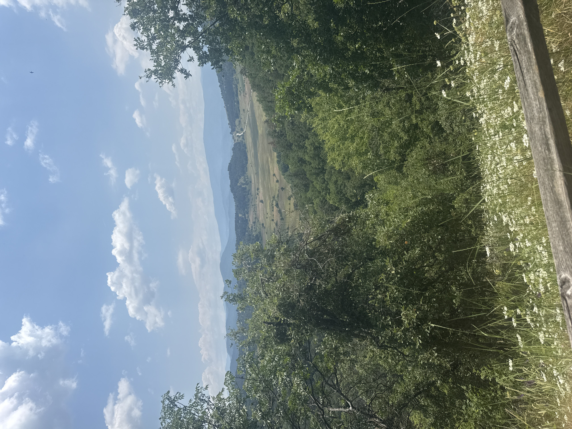 The image captures a panoramic view of a lush green valley in the vicinity of Dorkovo, Bulgaria. The foreground is adorned with a dense arrangement of wildflowers and tall grasses, bordering a weathered wooden railing. Beyond this vibrant meadow, the landscape unfolds into a verdant expanse of trees, punctuated by a winding road that snakes through the terrain. In the distance, a series of rolling hills and mountains, shrouded in a soft blue haze, stretch towards a clear sky dotted with fluffy white clouds. The overall scene evokes a sense of natural beauty and tranquility, characteristic of the Bulgarian countryside.