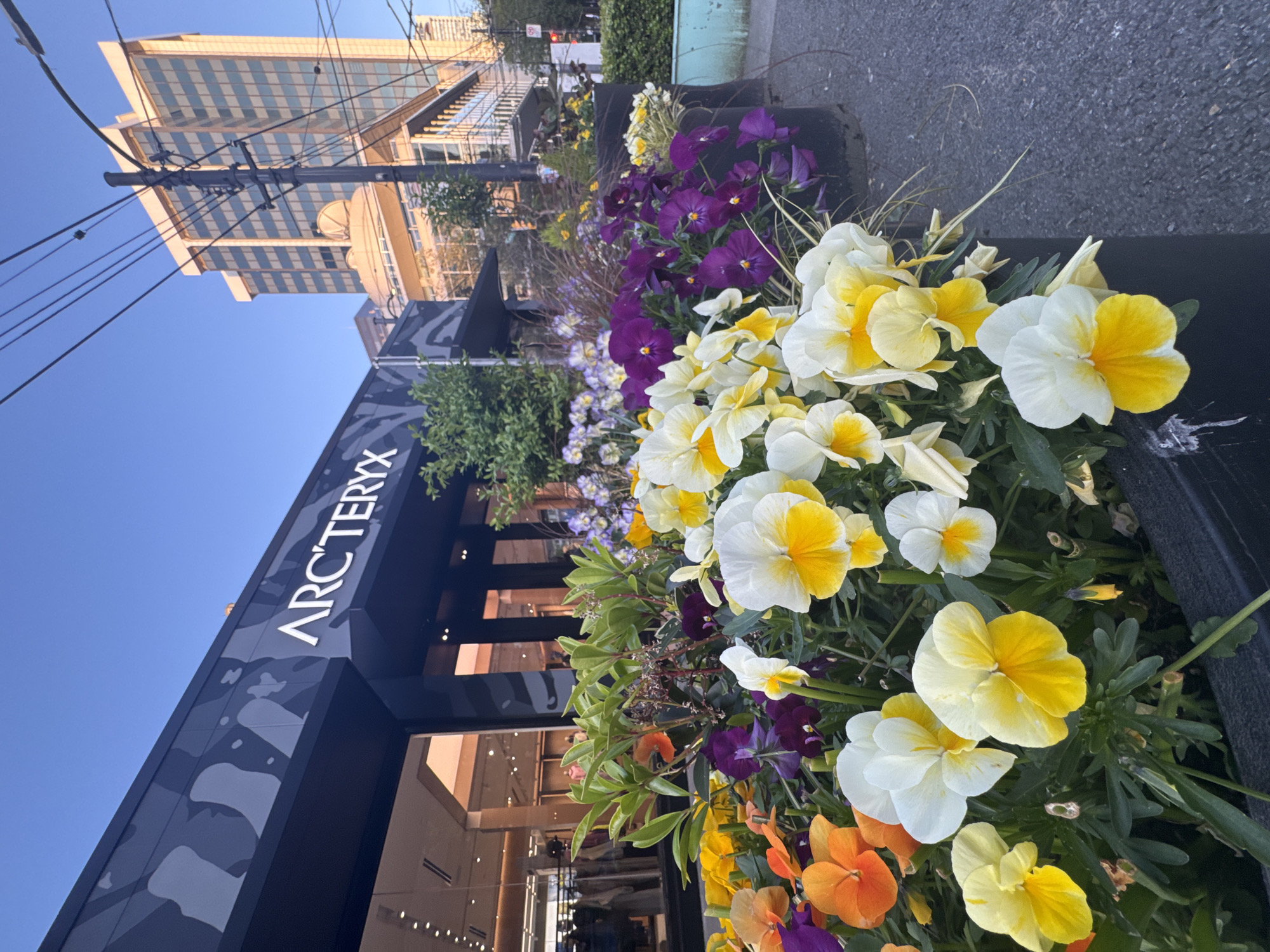 The image shows a street scene in Vancouver, Canada. An Arc'teryx store facade is visible on the left side of the frame, adorned with camouflage patterns. In the foreground, there is a flower box overflowing with pansies in various colors, including yellow, white, purple, and orange. A tall building rises in the background, along with telephone wires that crisscross the sky. The sky is clear and blue. No people are easily discernible, although some are indistinct inside the store.