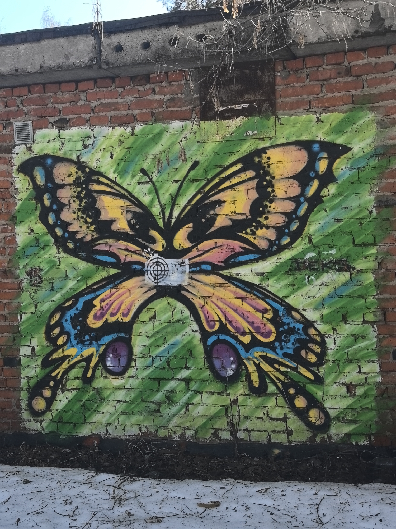 A colorful butterfly mural is painted on a weathered brick wall. The butterfly has yellow, pink, and blue markings outlined in black. A target-like design is placed at the butterfly's body. The background consists of vertical green stripes. The brick wall appears to be part of an older building with concrete elements at the top. Patches of snow are visible on the ground in front of the wall. The image location is in the city of Chaikovsky, Russia.