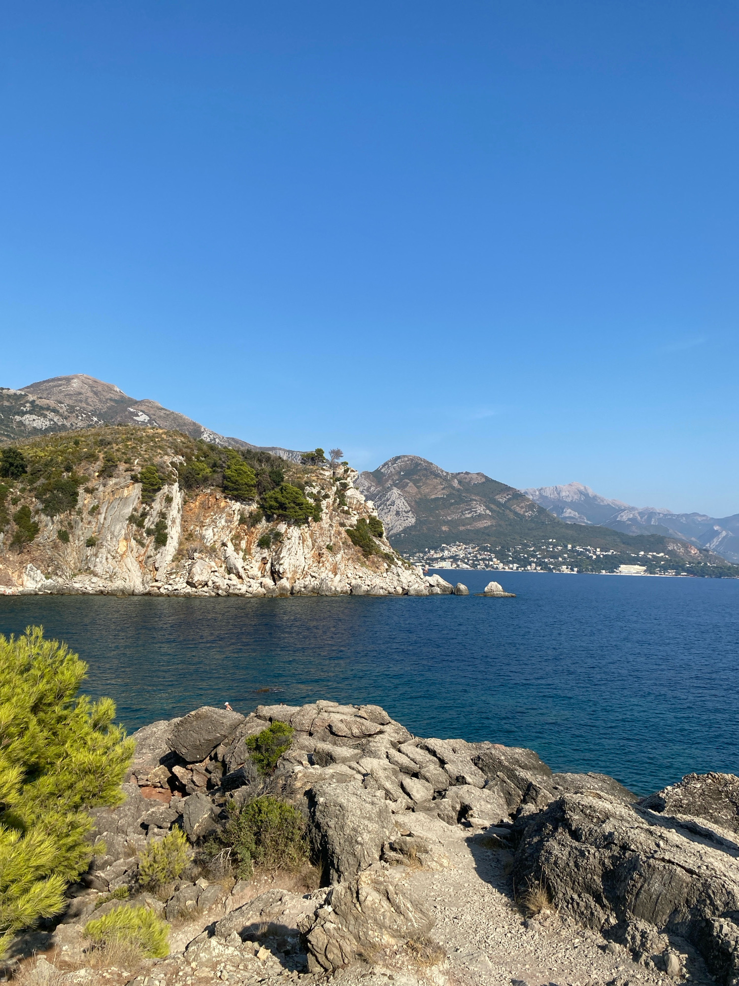 The image depicts a coastal landscape with a clear blue sky above. In the foreground, there are rocky shores with some green vegetation, including pine trees. The sea is a deep blue. Further in the distance, a rugged, rocky cliff face covered in greenery juts out into the sea. Beyond the cliff, a town with white buildings is nestled along the coastline, backed by rolling hills and mountains. The overall scene suggests a sunny day in a Mediterranean coastal region, likely Sutomore, Montenegro, given the characteristic topography and vegetation. There is one person visible on the rocky shore in the far distance, appearing to be sitting or resting.