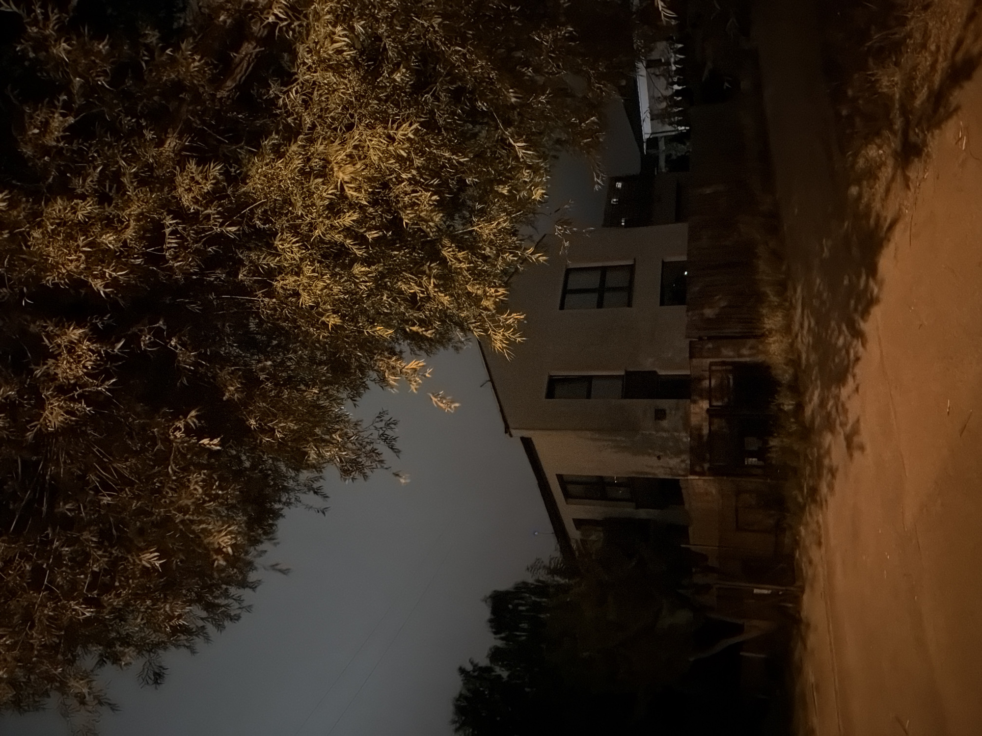 This is a nighttime exterior shot of a two-story building located on a street in Szczecin, Poland. The building is light-colored with dark-framed windows. A large tree with golden-brown foliage partially obscures the upper portion of the image. The foreground shows a dirt road illuminated by an orange light source, casting shadows from the tree onto the surface. A wooden fence runs along the property line in front of the building. The sky is dark and overcast. There are no people visible in the image.