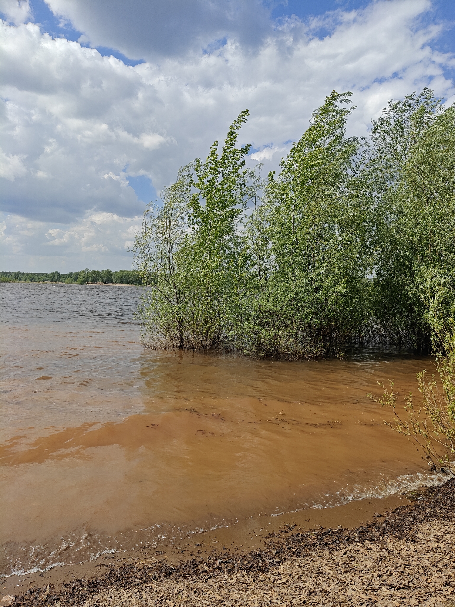 The image depicts a shoreline at Ol'khovskoye, Russia. Brown, murky water laps at the sandy and debris-covered bank. Several trees are partially submerged in the water near the shore. The sky is partly cloudy with patches of blue. A distant treeline is visible across the water.