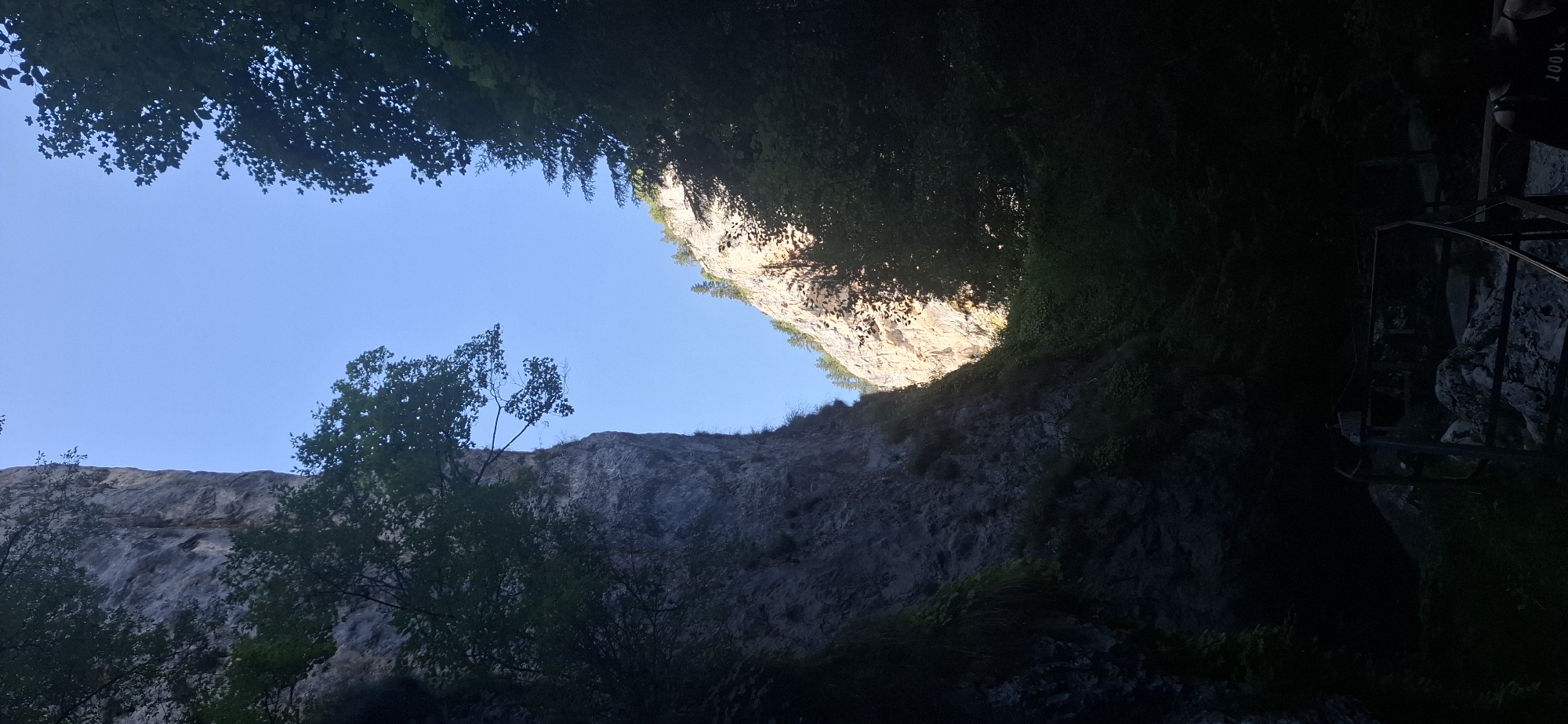 The image captures a view looking up through a narrow gorge, likely within or near Trigrad, Bulgaria, given the context. On the left, a towering, grey, sheer rock face dominates the frame, partially obscured by dense green foliage and trees. On the right, a sun-drenched, lighter-colored rock cliff rises steeply, with trees and vegetation clinging to its upper slopes. The sky above is a clear, bright blue, with the sunlight creating a dramatic contrast between the illuminated and shadowed parts of the gorge. In the foreground, the bottom of the gorge is in deep shadow, with a dark, rugged path or ground visible, bordered by metal railings and some rocks. The scene suggests a natural, somewhat wild environment, possibly a tourist attraction within the Trigrad Gorge area, known for its dramatic rock formations.