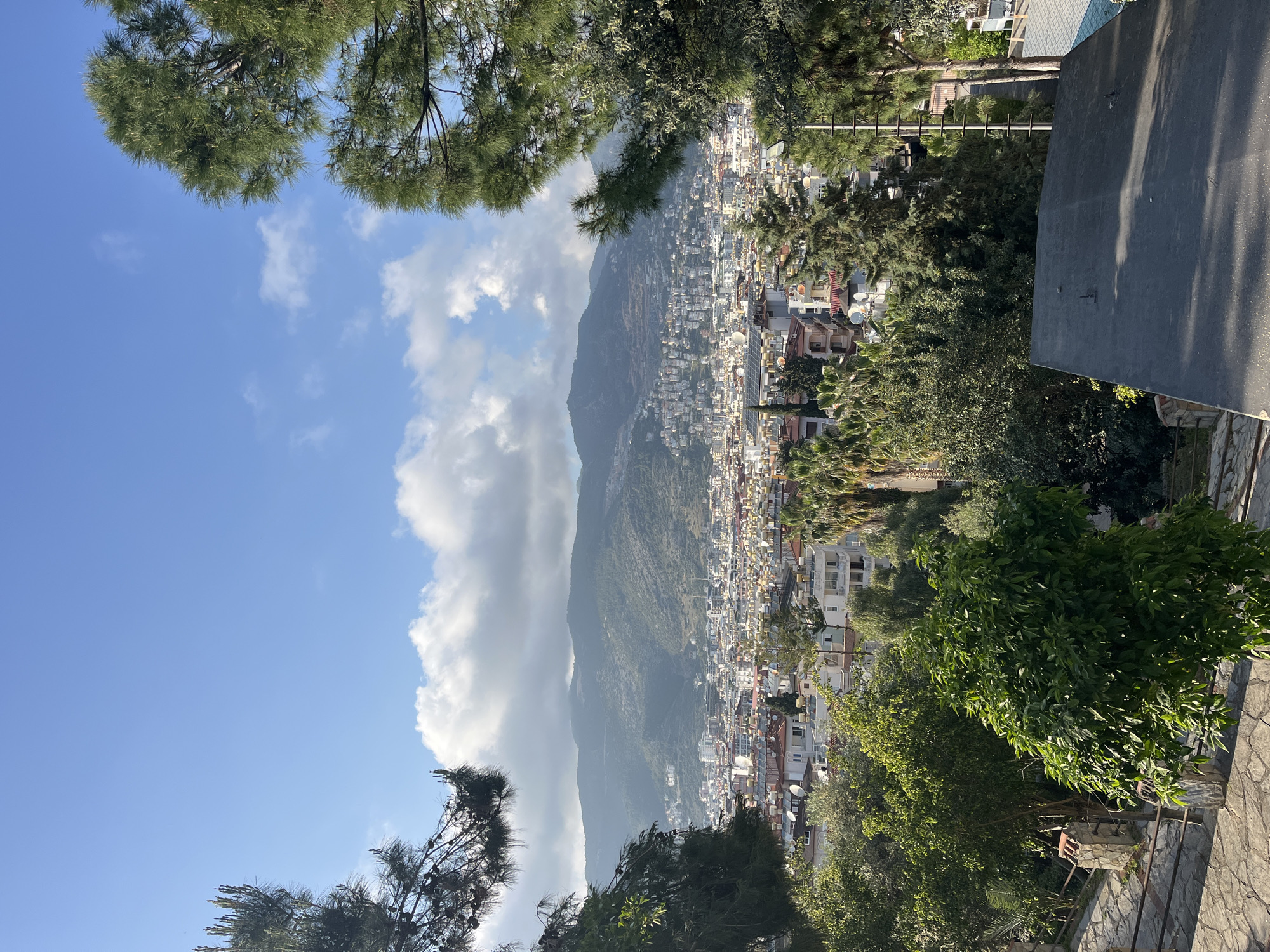 The image, when viewed in its correct landscape orientation, captures a panoramic vista of a bustling city situated at the base of a majestic mountain range, all set under a vibrant blue sky. The foreground is adorned with the lush, dark green foliage of pine trees, indicating an elevated perspective from which the photograph was taken.
The city itself is densely populated, sprawling across the landscape between the viewer and the mountain. It features numerous buildings, many with light-colored or red-tiled roofs, and a noticeable presence of satellite dishes on rooftops, suggesting a residential character. The urban development extends some way up the lower slopes of the mountain.
The towering mountain, cloaked in green vegetation, forms a dramatic backdrop to the city, its rugged contours stretching across the horizon. The sky above is a clear blue, dotted with scattered white cumulus clouds that cast soft, diffused light across the scene. The bright sunlight suggests the time of day is likely mid-morning to late afternoon.
In the immediate foreground on the right, a dark gray paved surface, possibly a road or viewing platform, along with stone retaining walls, provides context for the elevated viewpoint. Throughout the urban fabric, various smaller trees and palm trees add pockets of greenery. No specific activities or people are visible in the static scene, and there is no discernible text. The blend of a densely built city against a natural mountainous backdrop is characteristic of coastal regions, aligning with the visual attributes expected of Alanya, Turkey.