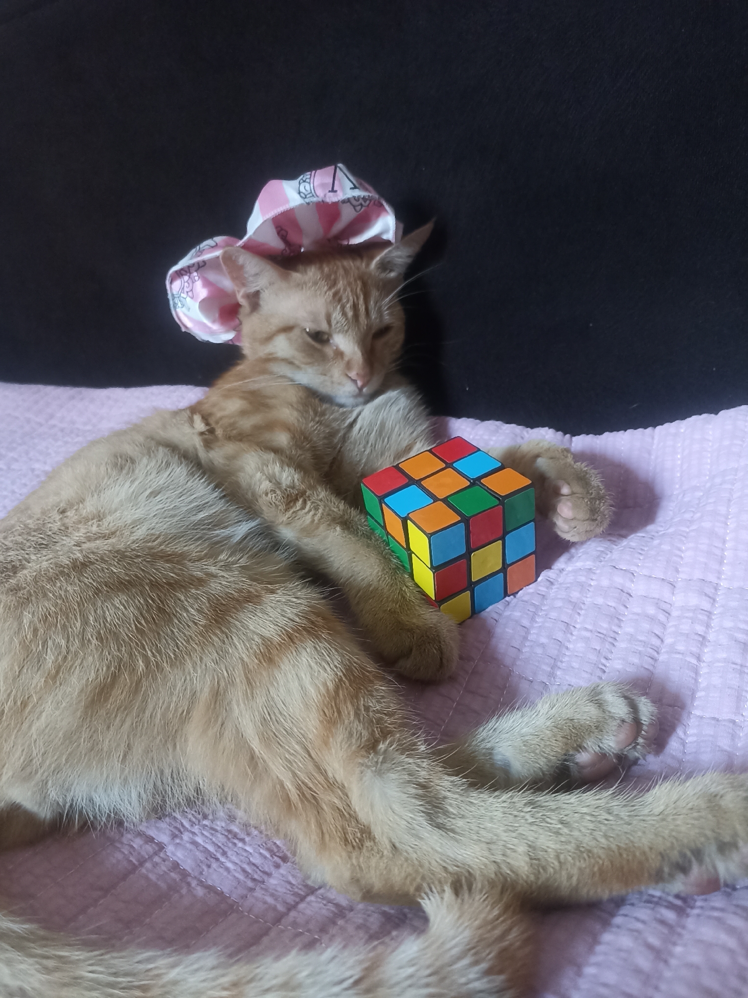 A ginger cat lies on its side on a pink quilted surface, wearing a pink and white striped bow on its head. The cat's right paw rests on a Rubik's Cube. The background is dark. There is no discernible location in Osh City, Kyrgyzstan.