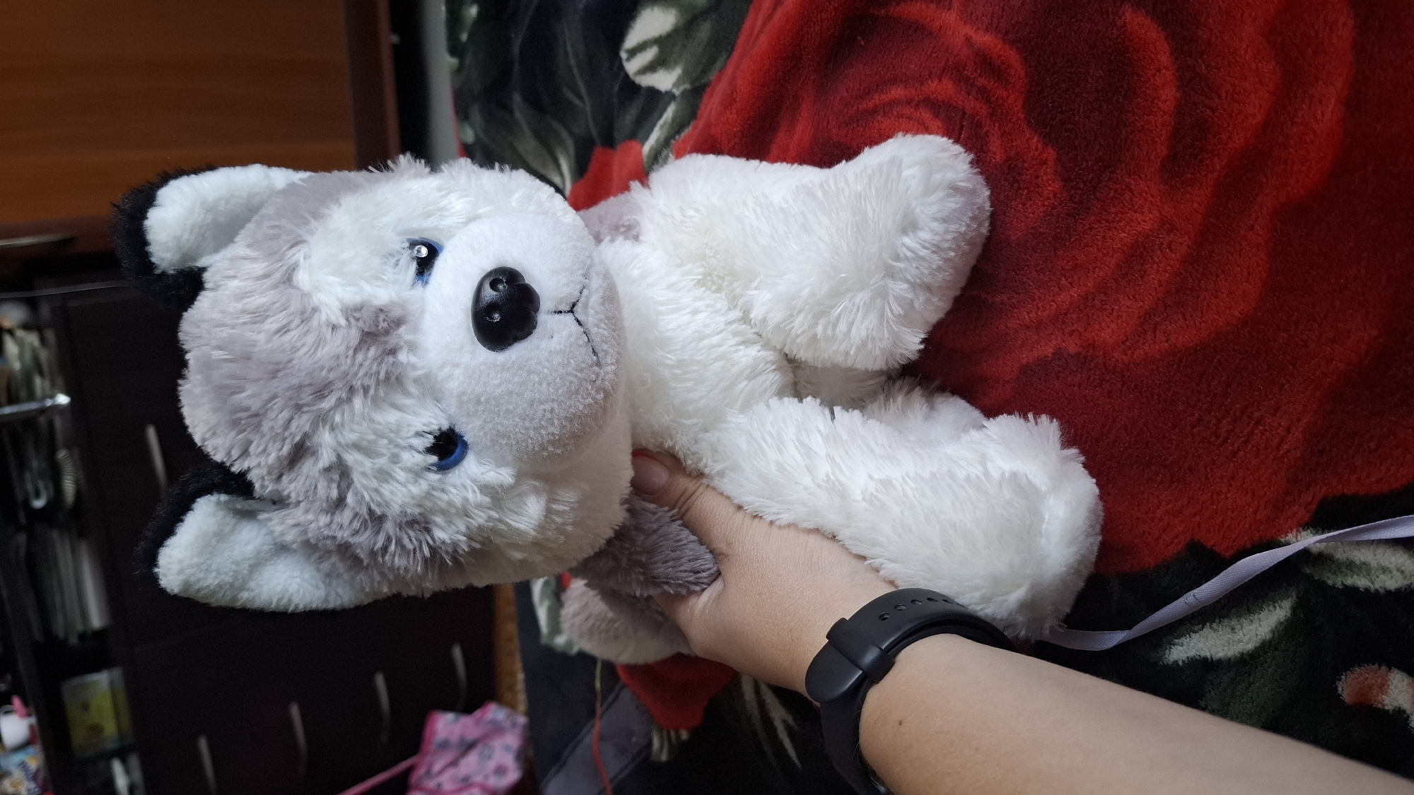 The image shows a stuffed husky dog with grey and white fur, blue eyes, and a black nose, held by a person's left hand. The hand is wearing a black fitness tracker. The dog is resting on a red blanket with a rose pattern. In the background, a dark dresser with drawers is visible, and on top of it, various items including books and possibly cups are present. The scene appears to be indoors, likely in a domestic setting. There is no indication of the location being in the city of Shymkent, Kazakhstan.