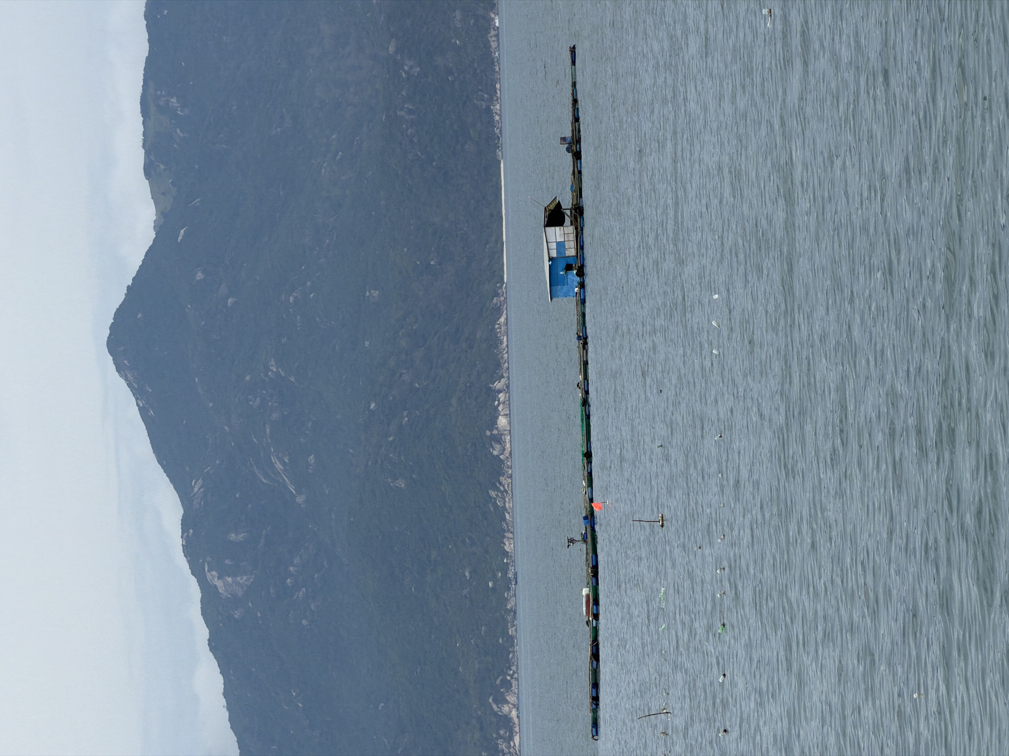 This image captures a serene yet industrious coastal scene in Vĩnh Lương, Vietnam. A large body of water, likely a bay or inlet, dominates the foreground and mid-ground, characterized by its calm, grey-blue surface with subtle ripples. Scattered across the water, particularly in the foreground, are various small pieces of debris, including plastic and foam, and several thin wooden stakes or poles protruding from the surface.
Stretching horizontally across the mid-ground is a long, linear floating structure, resembling a fish farm or aquaculture setup. Along this structure, a prominent feature is a small, box-like shelter, painted distinctively in blue and white, with a dark roof. Other indistinct objects, possibly buoys, nets, or equipment, are also visible along the length of the floating structure. An orange flag is also visible on one section of the structure.
In the background, a rugged mountain range rises, densely covered in dark green vegetation. The peaks of the mountains are softened by a light atmospheric haze, suggesting distance or overcast weather conditions. The coastline at the base of the mountains appears rocky in places.
The time of day is daytime, under what appears to be an overcast or hazy sky, as indicated by the diffused lighting and the absence of strong shadows. No people are visible in the scene, and there is no visible text. The overall impression is one of a working coastal landscape.