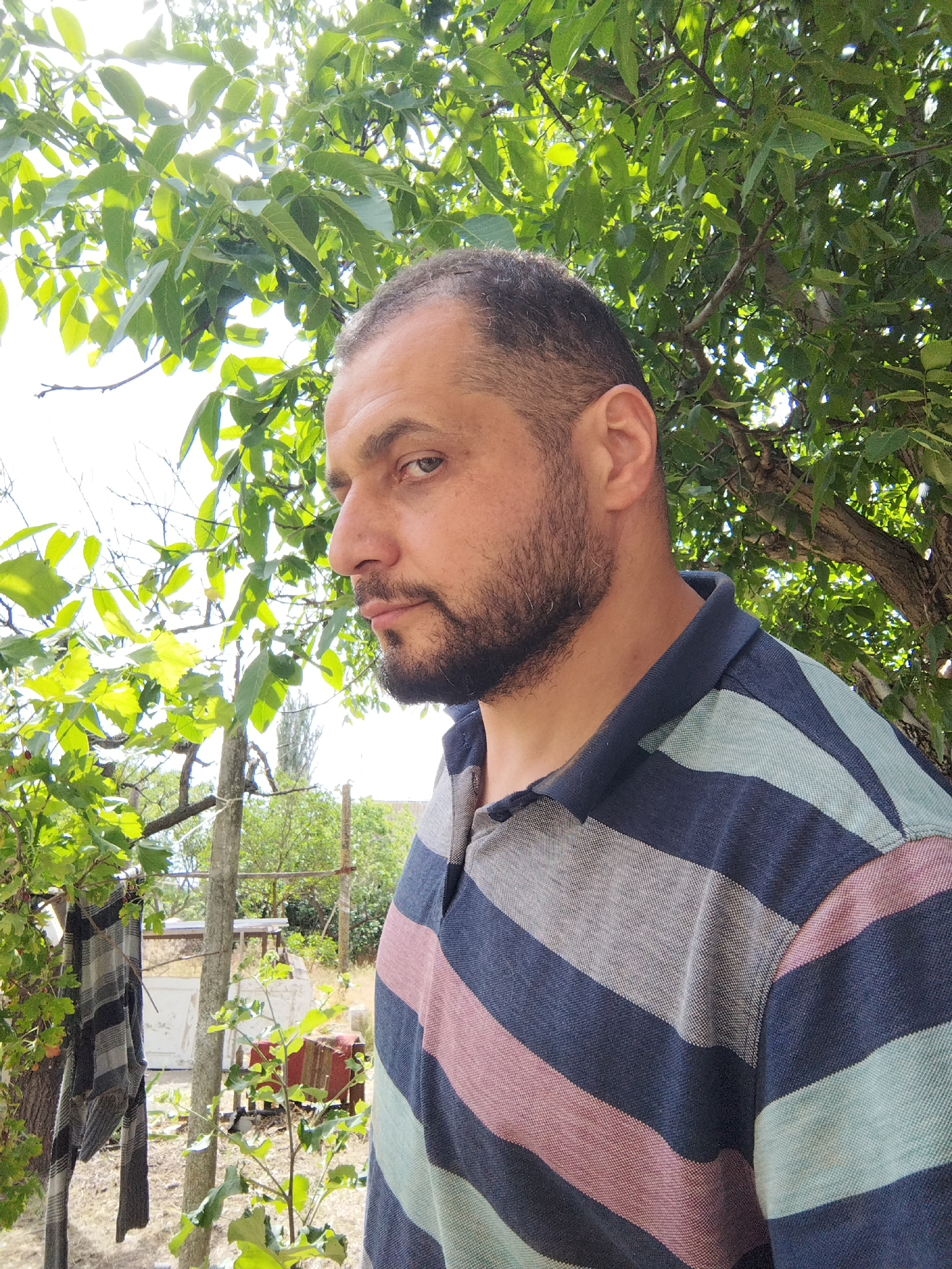 A medium shot, taken from a low angle, shows a man with short, dark hair and a beard. He is looking to the left, with his head tilted slightly upwards. He is wearing a striped polo shirt in shades of blue, gray, pink, and green. The man is outdoors, with lush green foliage surrounding him. The background is blurred, suggesting a shallow depth of field. There is bright sunlight filtering through the leaves, creating dappled light. In the background, there are glimpses of a fence, some trees, and a light-colored building. A piece of checkered fabric is hanging from a branch on the left side of the frame. The man's facial expression is neutral.