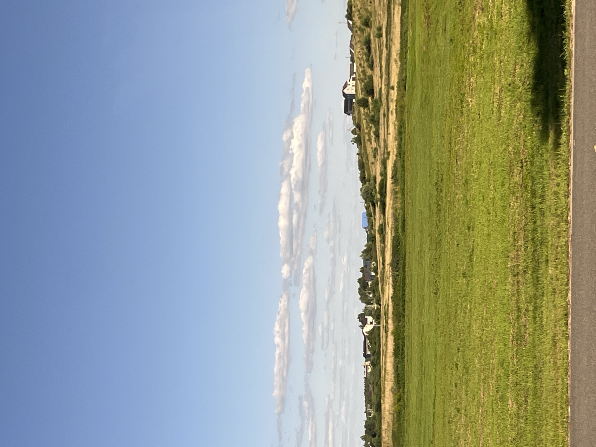 A wide-angle, eye-level outdoor shot captures a rural landscape under a clear blue sky dotted with fluffy white clouds. The foreground is dominated by a vibrant green mown field, with rows indicating it has been recently tended. A dark asphalt strip runs along the bottom edge of the frame, suggesting a road or path.
In the middle ground, a gently sloping hill is covered with dry, yellow-brown grass and scattered green bushes and trees. A cluster of houses, appearing to be residential buildings, is visible on the crest of the hill and further along the horizon, nestled amongst greenery. Some houses have red or dark roofs. A few trees are scattered across the hillside and the distant treeline. The scene evokes a sense of open space and tranquil countryside living, possibly on the outskirts of Myadzyel, Belarus, given the architectural style and landscape. The lighting suggests it is daytime, likely mid-morning or afternoon, with the sun casting a subtle shadow to the right in the foreground. There are no people or animals visible in the frame.