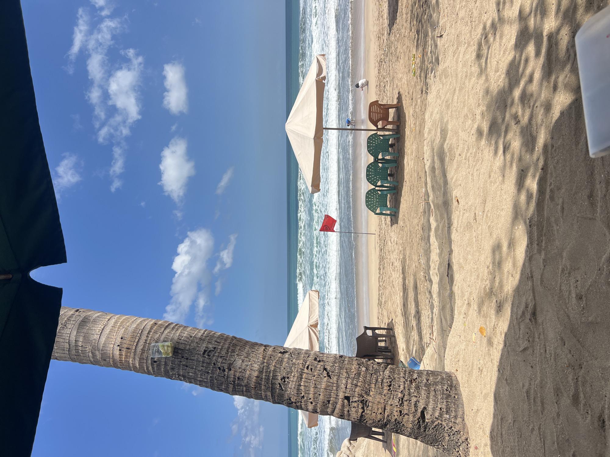 A vibrant, sunny beach scene unfolds in Kuta, Indonesia, under a brilliant blue sky dotted with fluffy white clouds. In the foreground, a large palm tree trunk stands prominently, its rough bark textured and weathered. A small, clear plastic container with some greenish items is attached to the trunk, perhaps a makeshift holder for drinks or snacks.
Beyond the palm tree, the sandy beach stretches towards the turquoise ocean. Several beach chairs are arranged on the sand. Three green plastic chairs are grouped together, facing the sea, with a single brown plastic chair positioned slightly apart. A large, light-colored beach umbrella provides shade over the chairs.
Further down the beach, a small red flag waves from a pole, indicating a specific zone or warning. The ocean is alive with moderate waves rolling towards the shore, creating white foam as they break. Two children are visible near the water's edge; one, wearing a blue shirt, appears to be playing, while another, in a white shirt, is sitting on the sand.
The overall impression is one of a relaxed and picturesque beach day in Kuta, a popular tourist destination known for its beautiful coastline and lively atmosphere. The image captures the essence of a tropical getaway, with the natural beauty of the beach and the ocean complemented by the presence of beachgoers enjoying the sun and surf.