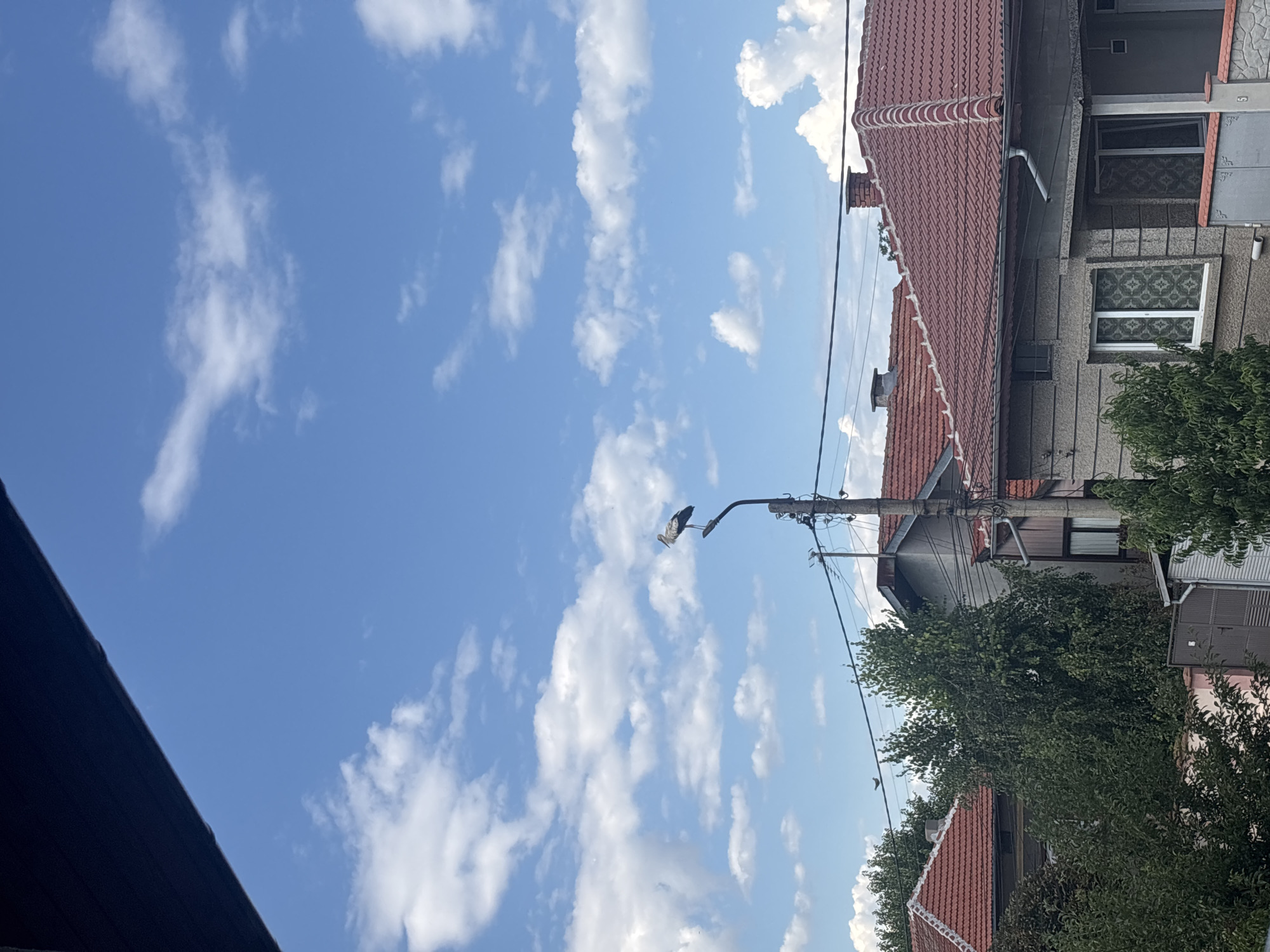 A stork is perched on a lamppost in a residential area in Marten, Bulgaria. The sky is blue with scattered white clouds. The lamppost is on the right side of the image, with a stork standing on top. Below the lamppost, there are rooftops of houses, trees, and power lines. The houses have red tile roofs and some have visible windows and chimneys. The image is taken from a slightly elevated viewpoint, possibly from a balcony or window.